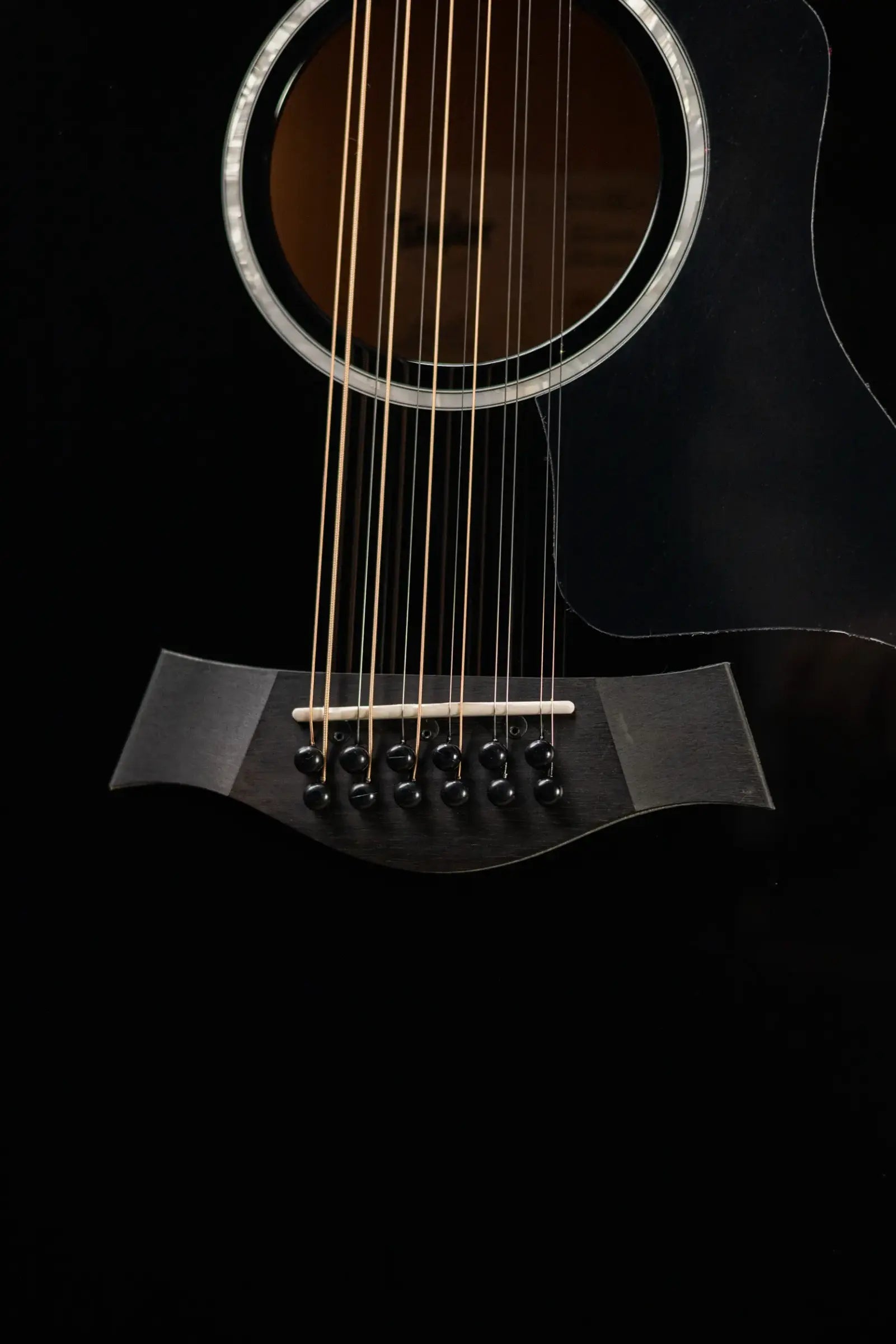 Taylor 250ce-BLK Plus 12-String Acoustic/Electric Guitar - Black with Aerocase