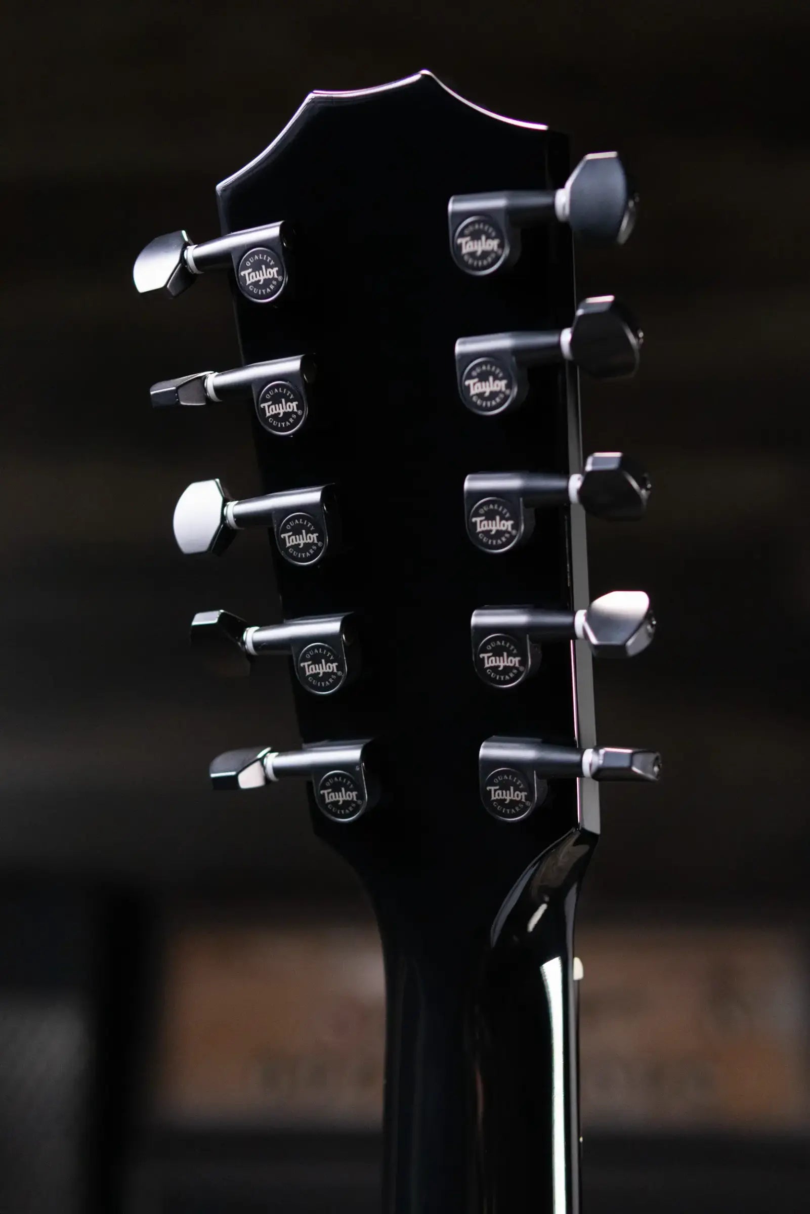 Taylor 250ce Plus BLK Bajo Quinto Acoustic/Electric Guitar - Black with Aerocase