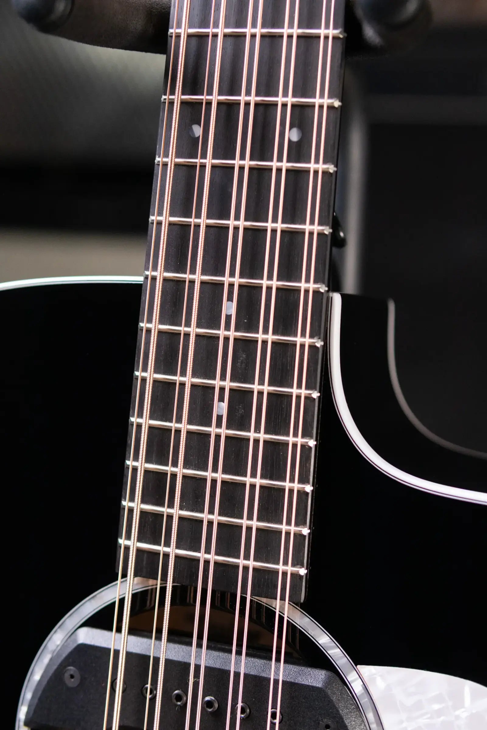 Taylor 250ce Plus BLK Bajo Quinto Acoustic/Electric Guitar - Black with Aerocase