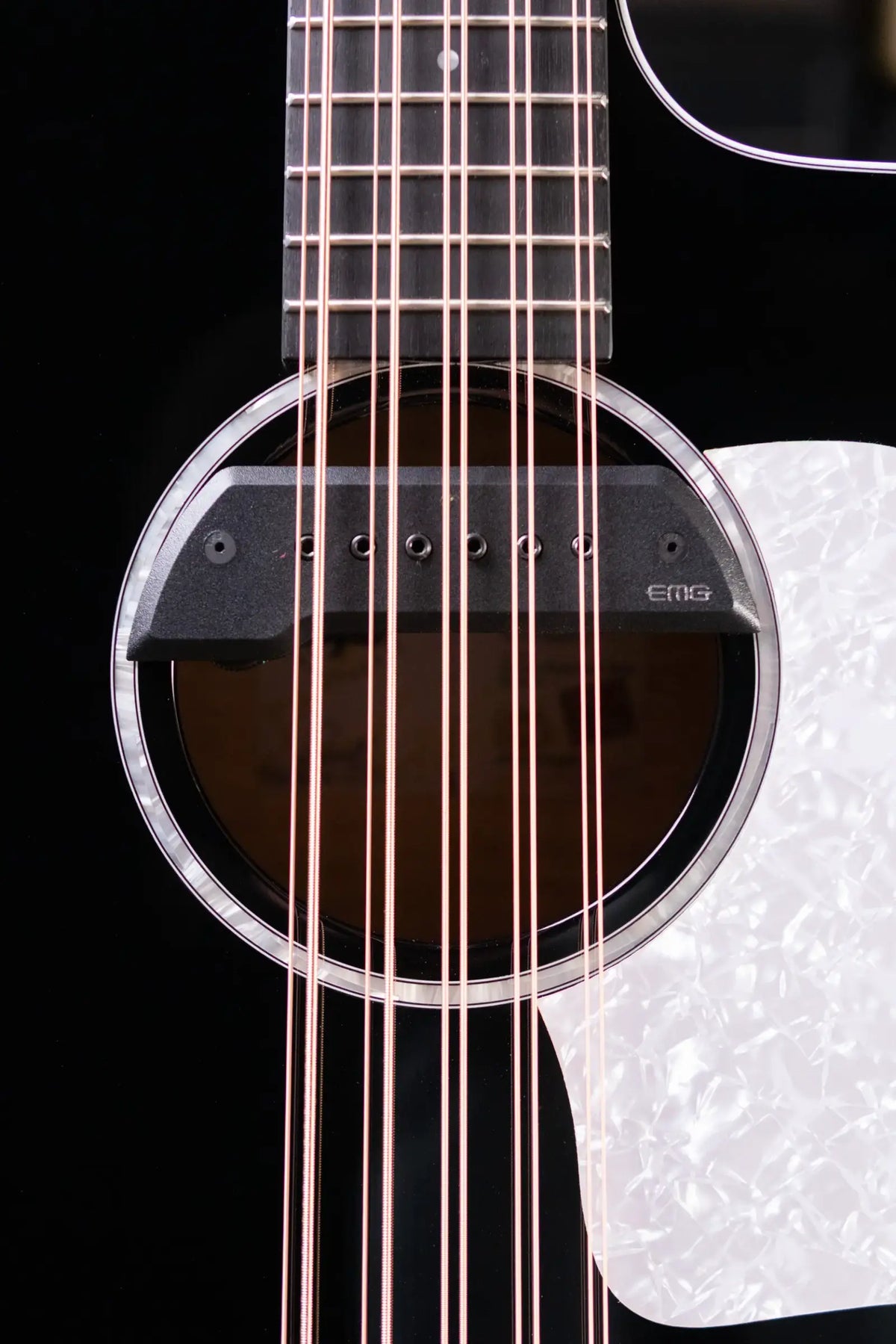 Taylor 250ce Plus BLK Bajo Quinto Acoustic/Electric Guitar - Black with Aerocase
