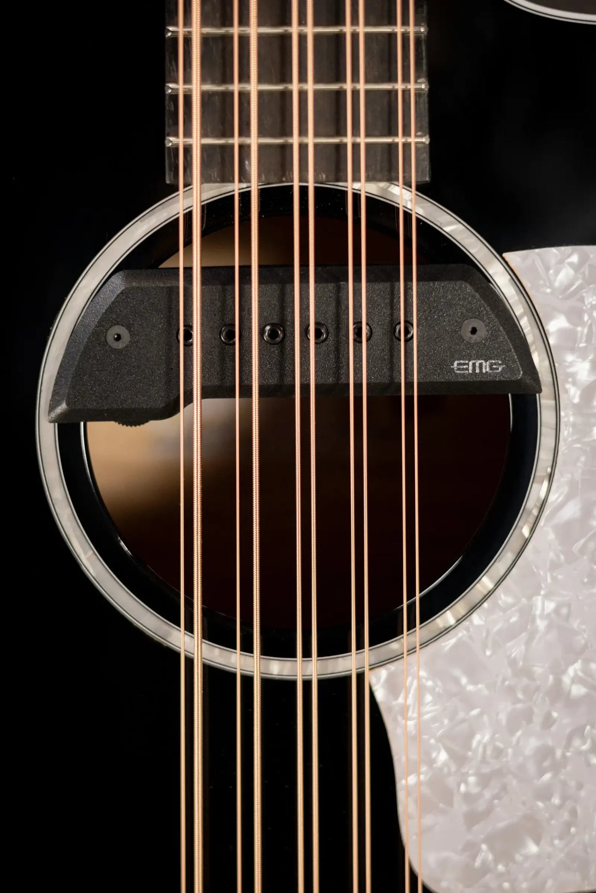 Taylor 250ce Plus BLK Bajo Quinto Acoustic/Electric Guitar - Black with Aerocase - Factory Demo