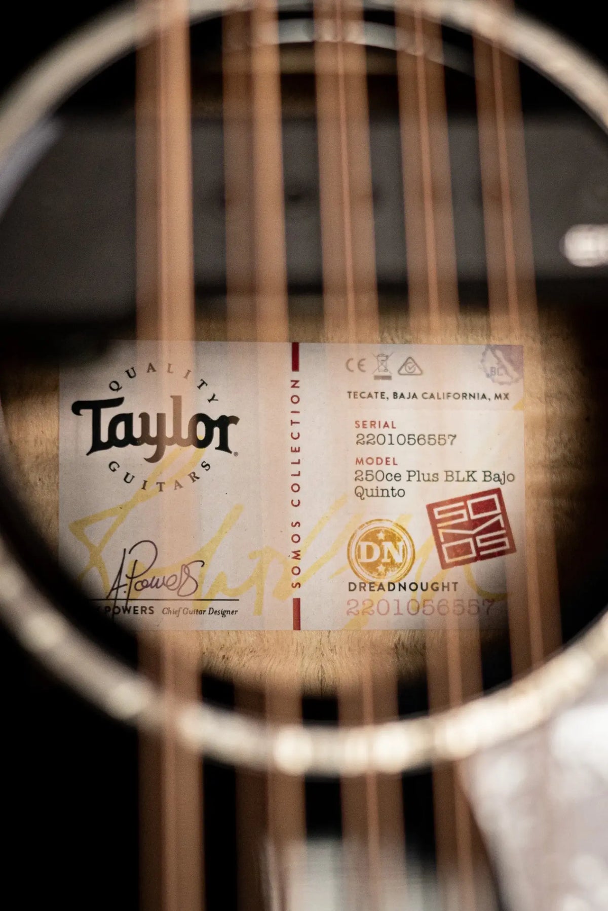 Taylor 250ce Plus BLK Bajo Quinto Acoustic/Electric Guitar - Black with Aerocase - Factory Demo