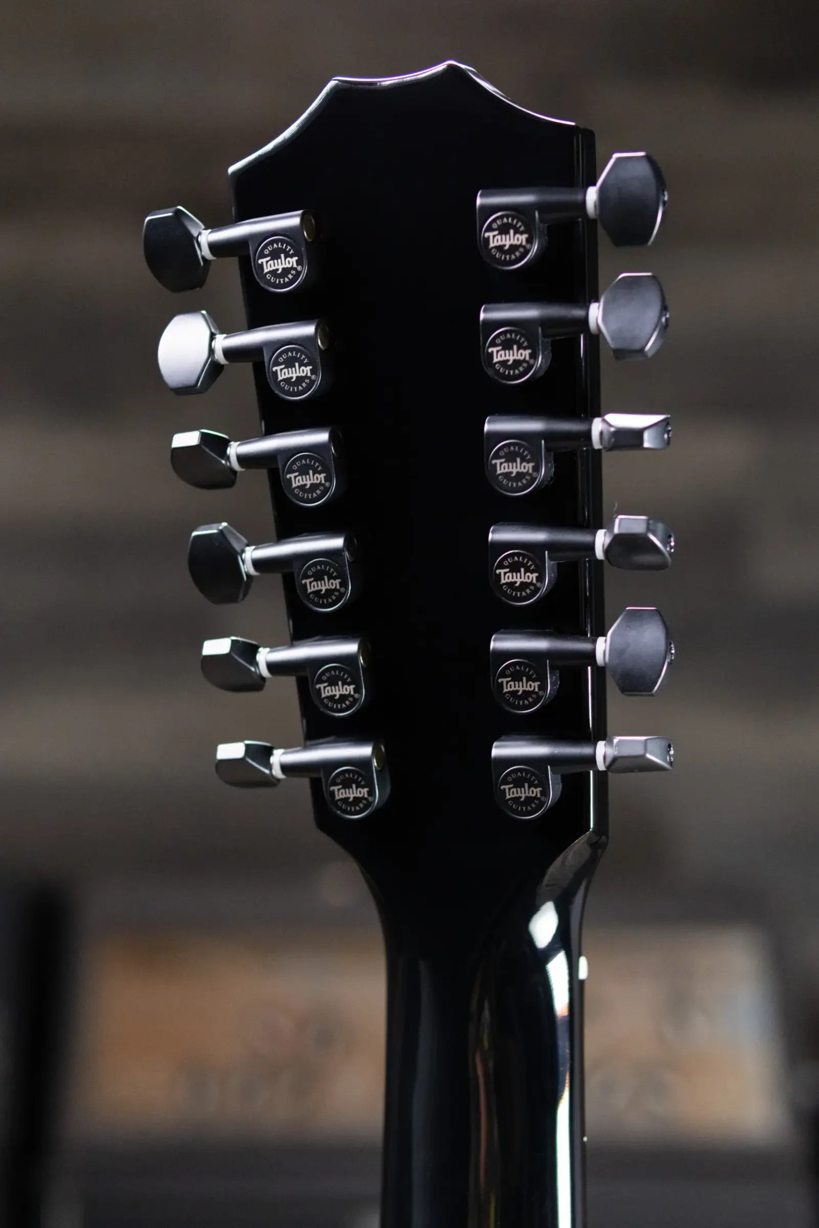 Taylor 250ce Plus BLK Doce Doble Acoustic/Electric Guitar - Black with Aerocase