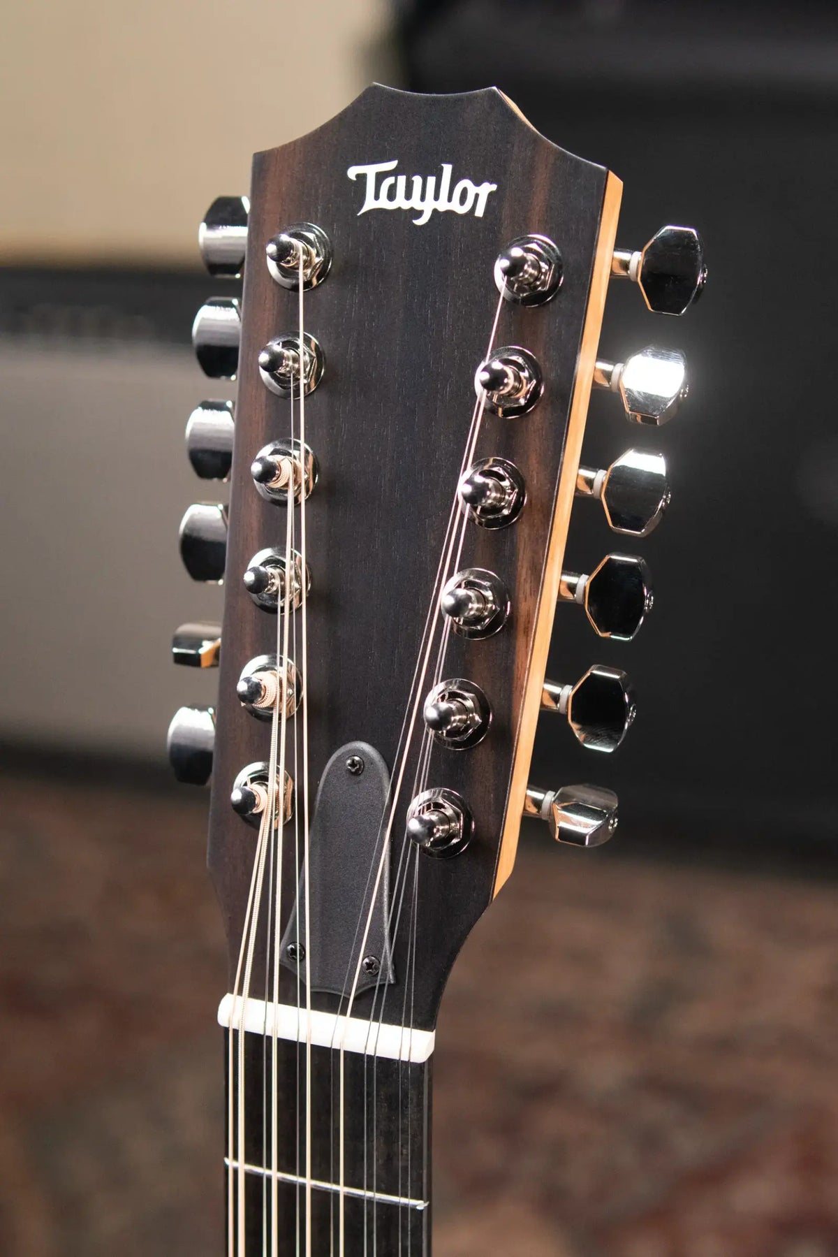 Taylor 254ce Plus 12-String Grand Auditorium Acoustic/Electric Guitar with Aerocase