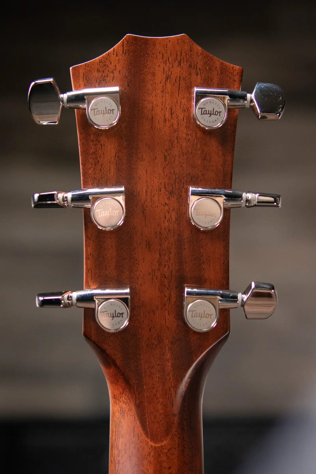 Taylor 2025 312ce Grand Concert Acoustic/Electric Guitar with Hardshell Case