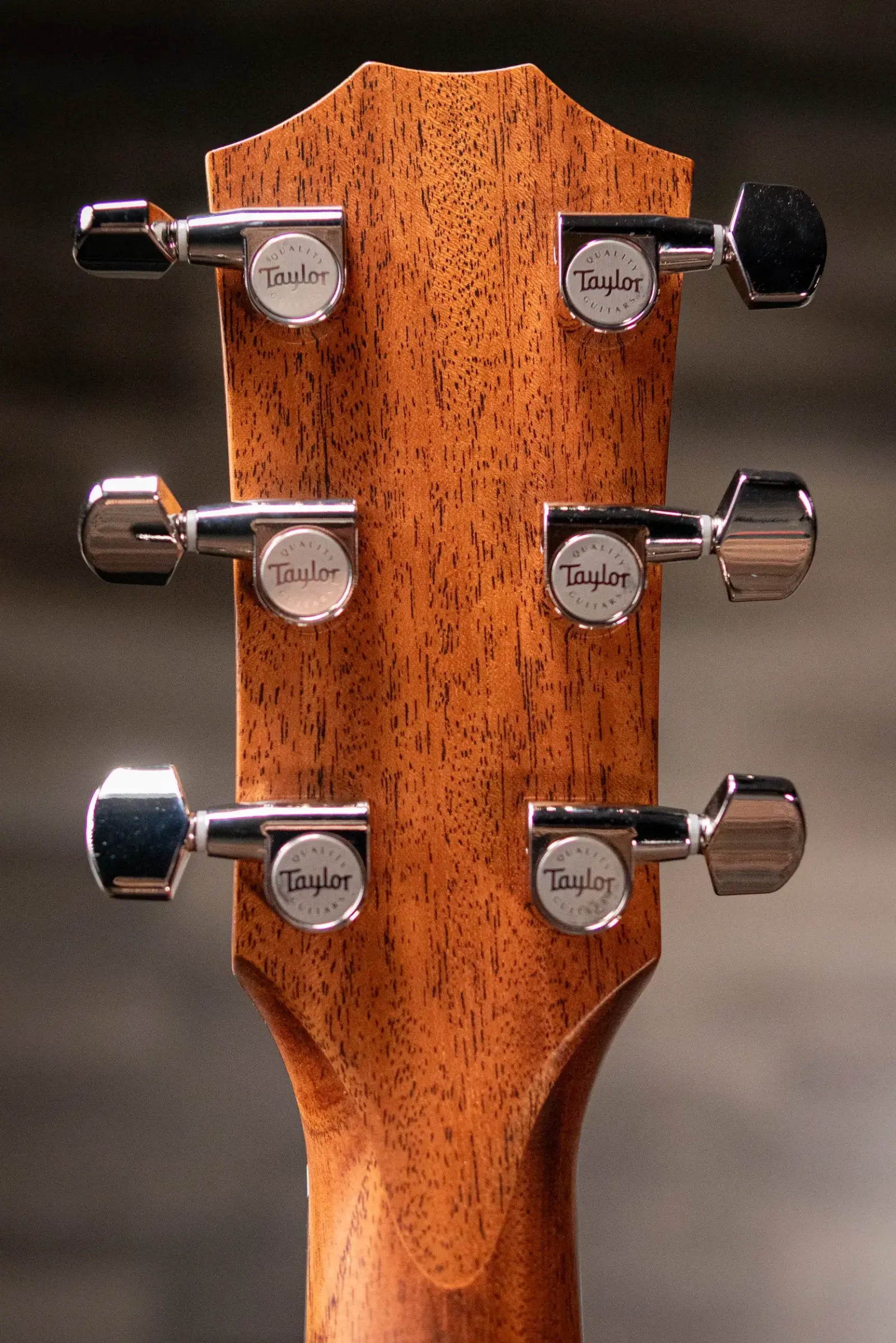 Taylor 314ce Studio Acoustic-Electric Guitar - Natural with Structured Gig Bag