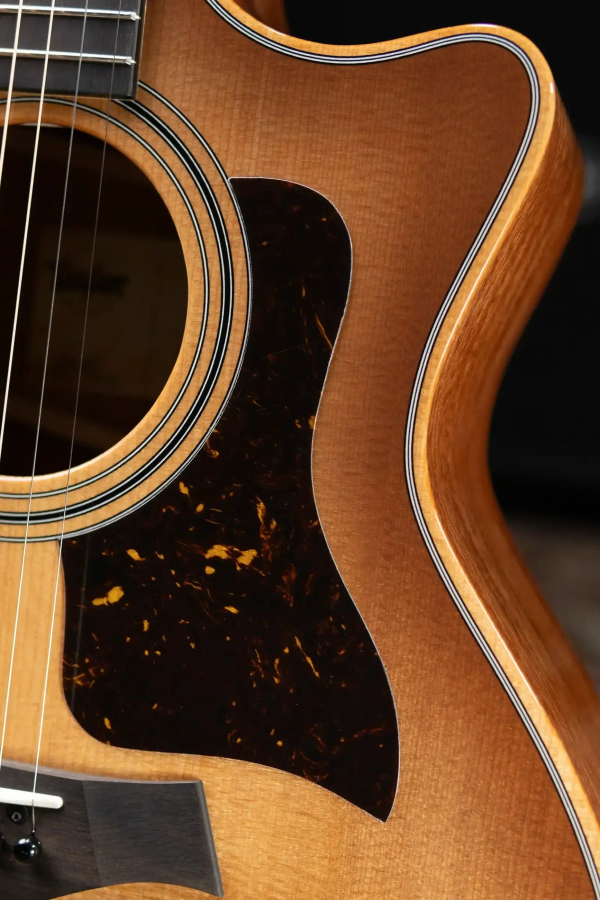 Taylor 314ce Studio Grand Auditorium Acoustic/Electric Guitar - Shaded Edge Burst with Gig Bag