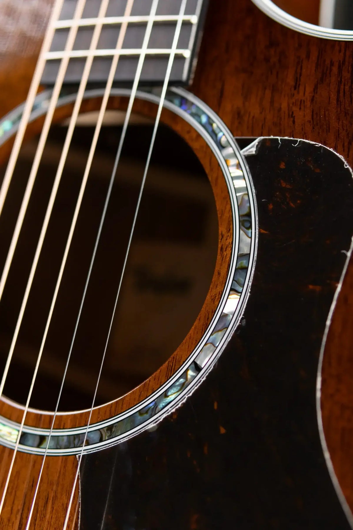 Taylor 424ce Special Edition Grand Auditorium Acoustic/Electric Guitar - Shaded Edge Burst with Hardshell Case