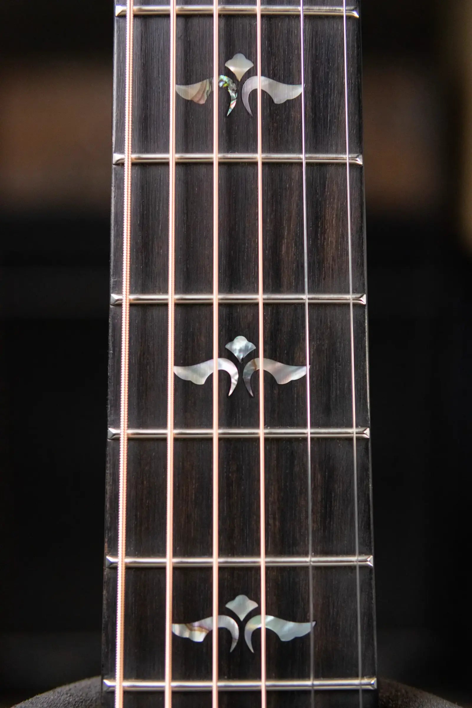 Taylor 614ce LTD 50th Anniversary Grand Auditorium Acoustic/Electric Guitar with Hardshell Case