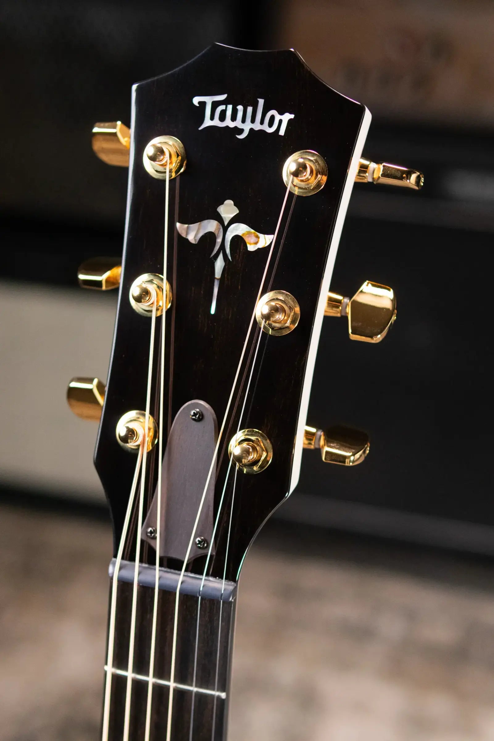 Taylor 614ce LTD 50th Anniversary Grand Auditorium Acoustic/Electric Guitar with Hardshell Case