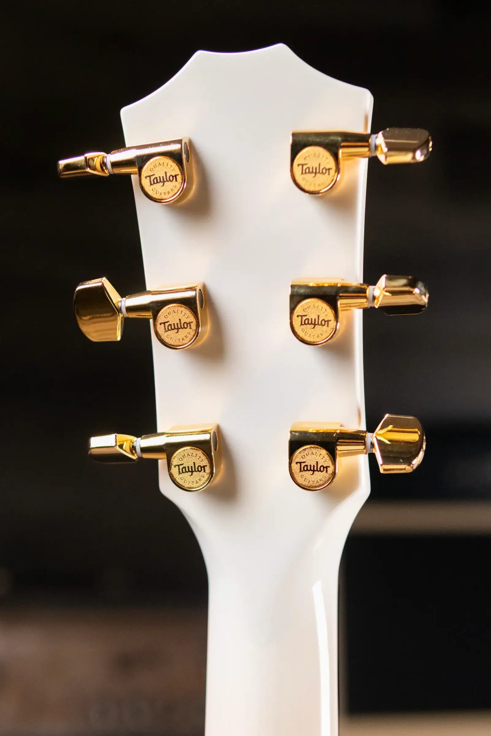 Taylor 614ce LTD 50th Anniversary Grand Auditorium Acoustic/Electric Guitar with Hardshell Case