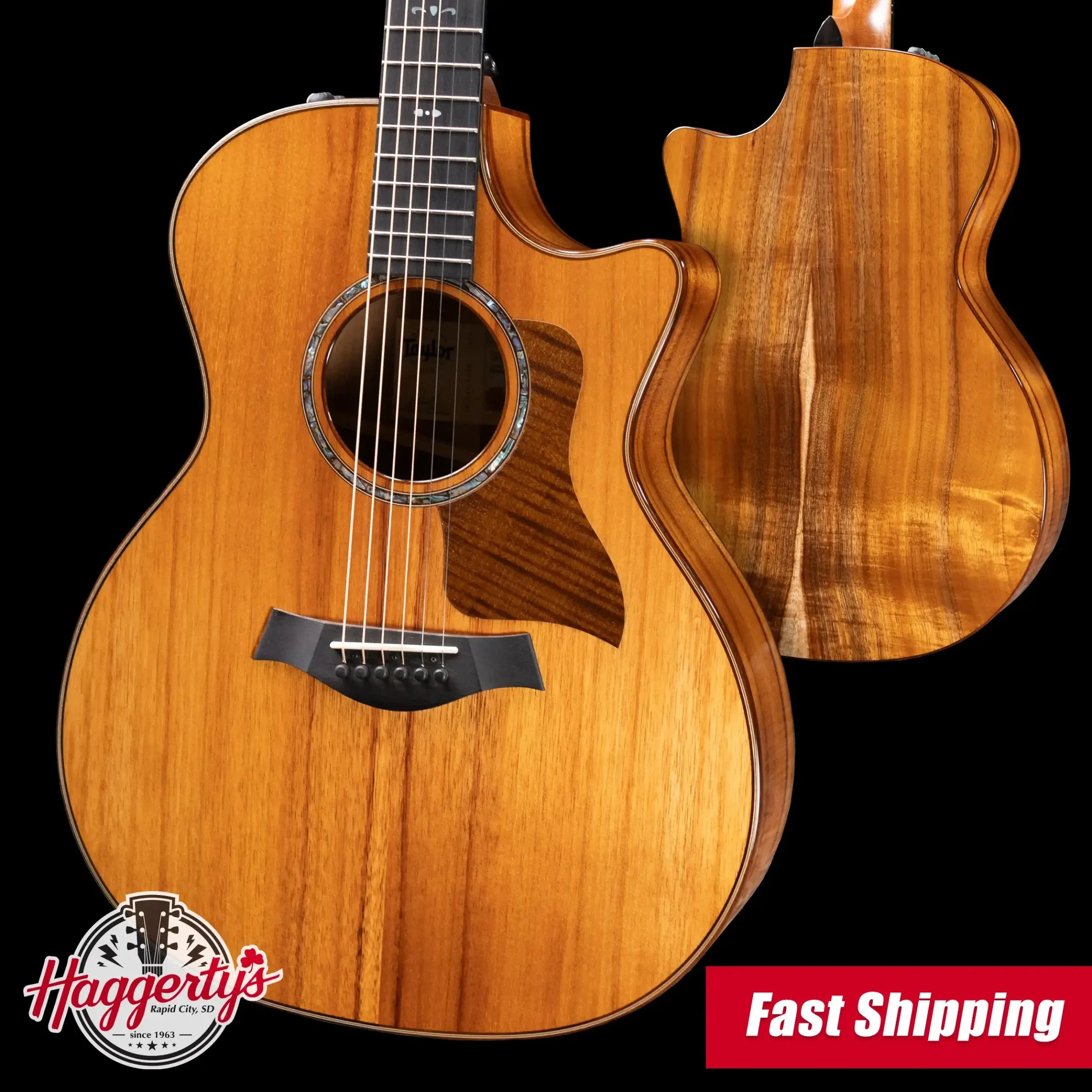 Taylor 724ce Grand Auditorium Acoustic/Electric Guitar with Hardshell Case
