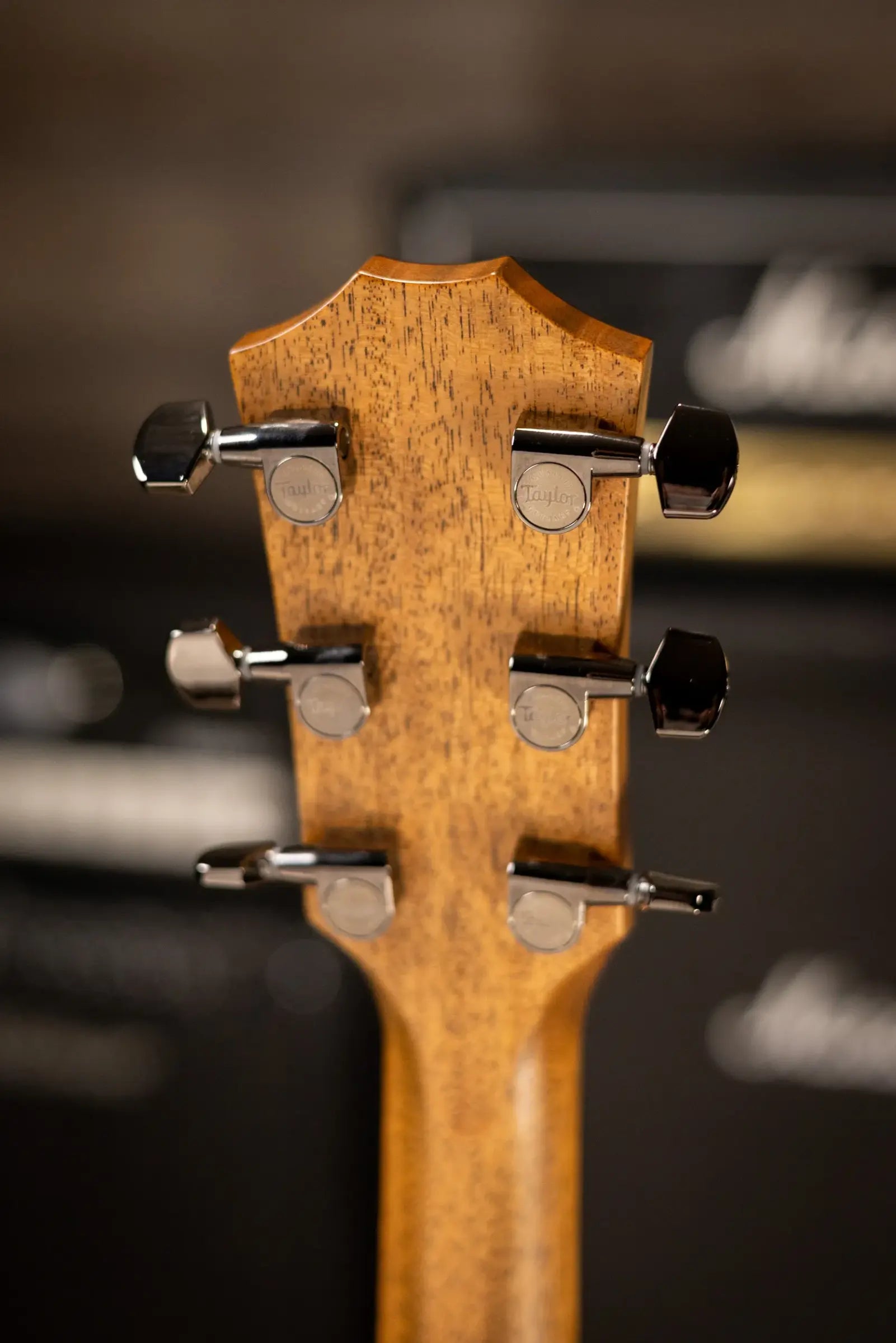 Taylor 814ce Special Edition Grand Auditorium Acoustic/Electric Guitar - Sassafras/Bearclaw Sitka Spruce with Hardshell Case