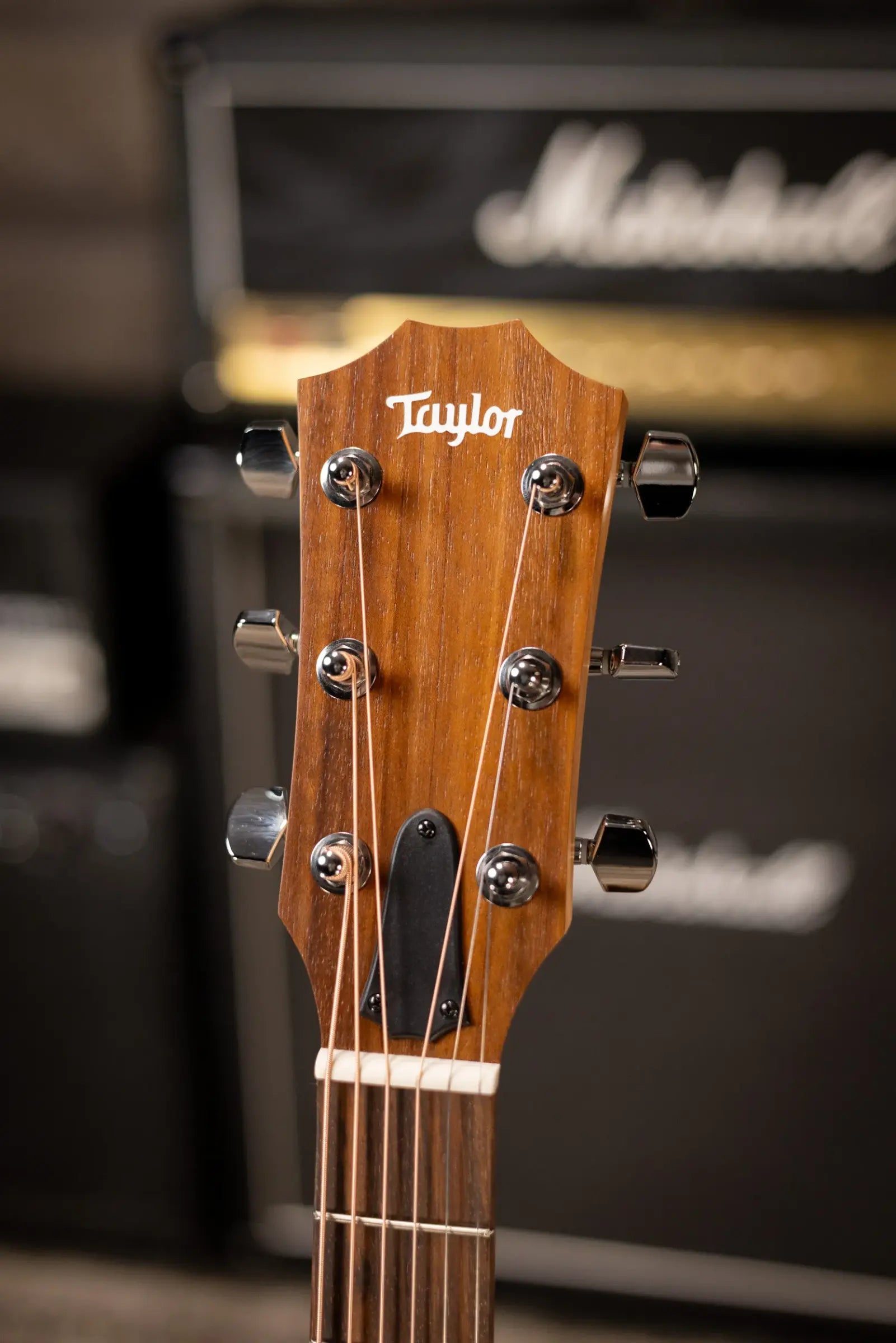 Taylor Academy 12e Grand Concert Acoustic/Electric Guitar with Gig Bag