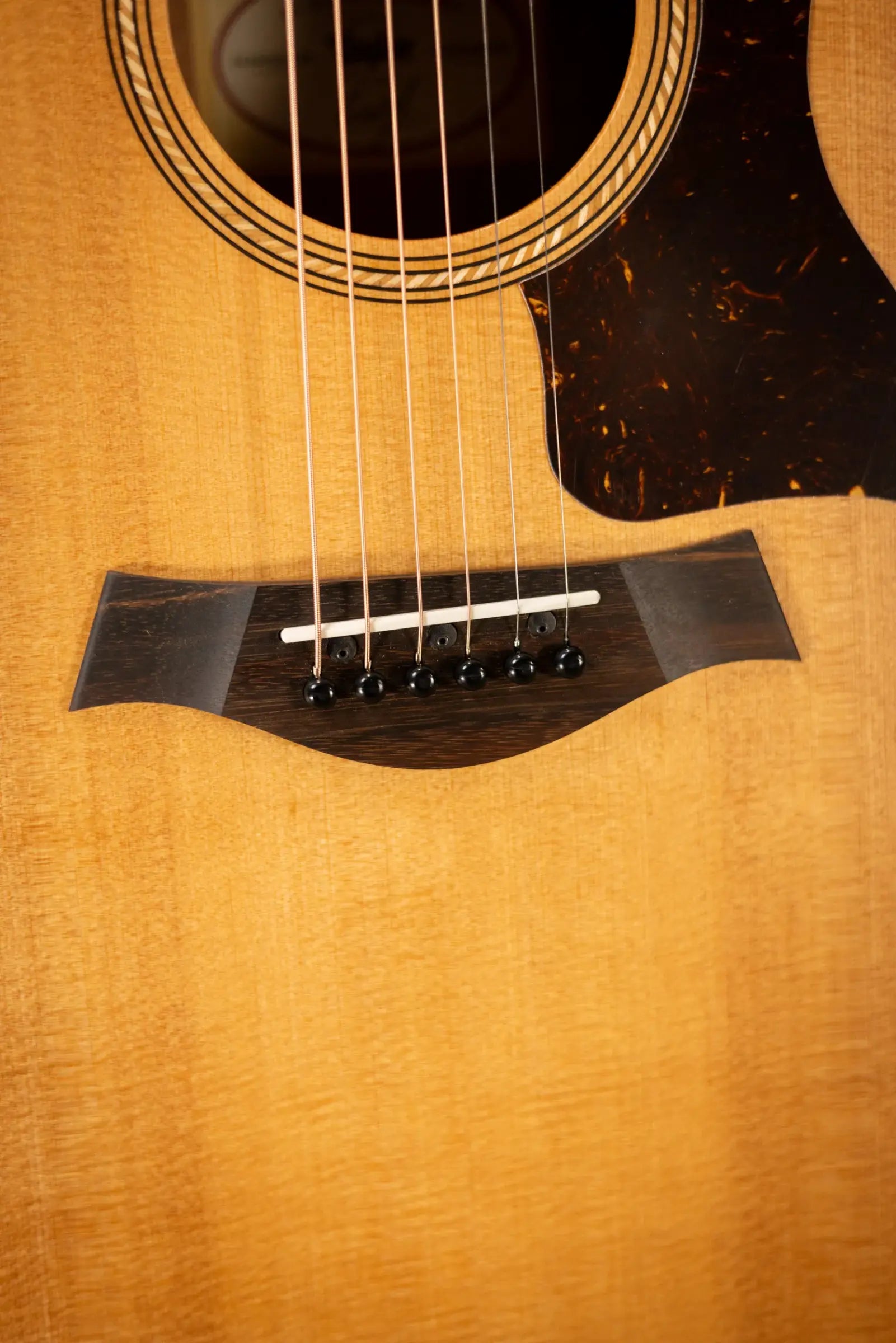 Taylor Academy 12e Grand Concert Acoustic/Electric Guitar with Gig Bag