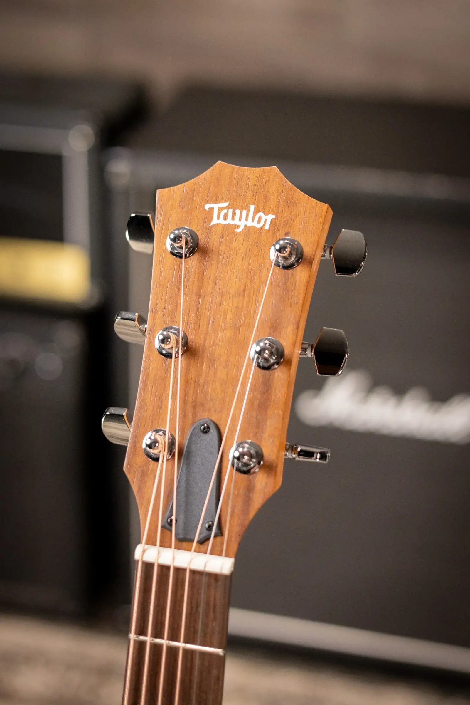Taylor Academy 12e Grand Concert Acoustic/Electric Guitar with Gig Bag