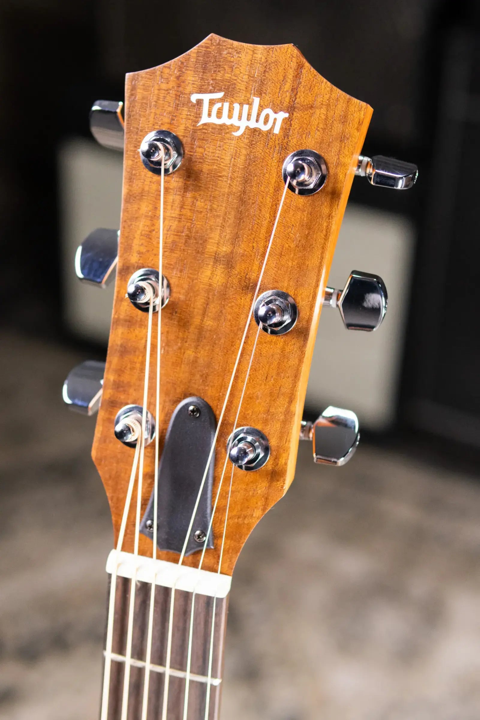 Taylor Academy 22e Grand Concert Acoustic/Electric Guitar with Gig Bag