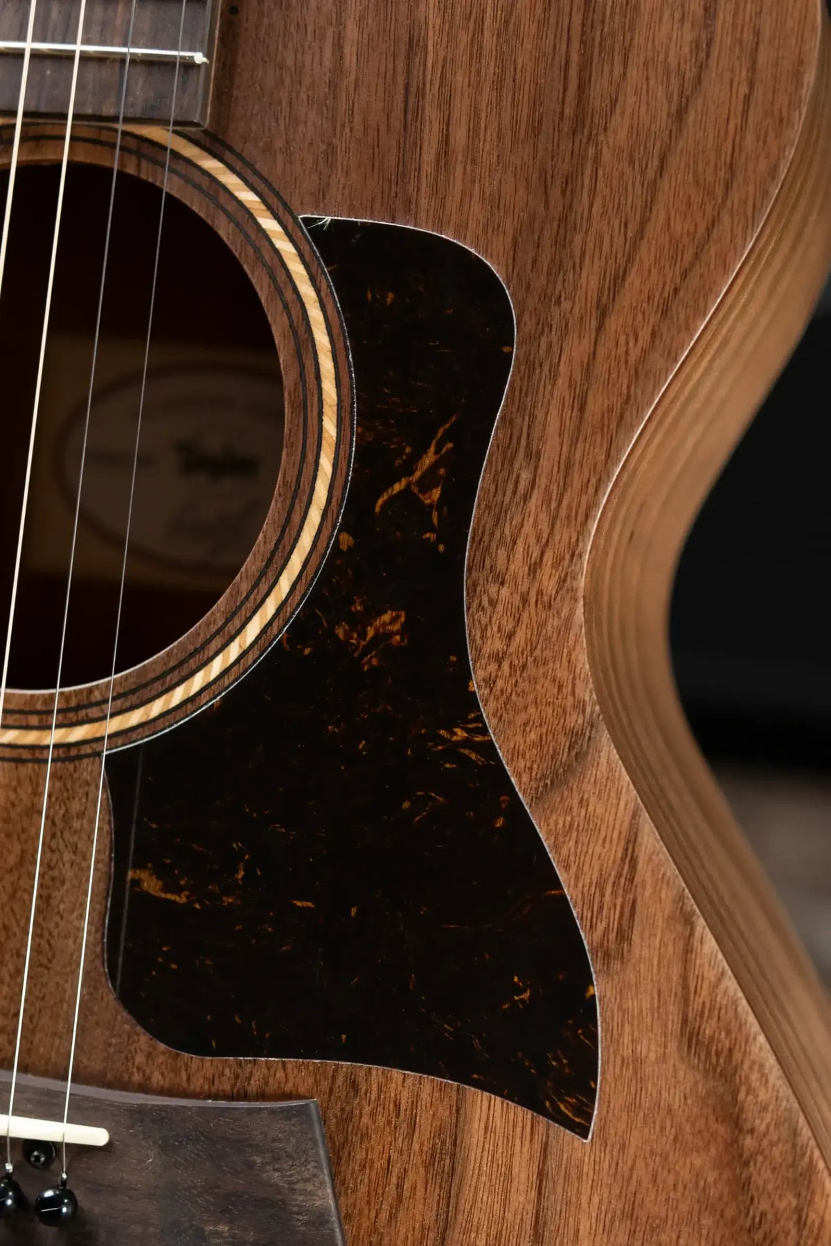 Taylor Academy 22e Grand Concert Acoustic/Electric Guitar with Gig Bag