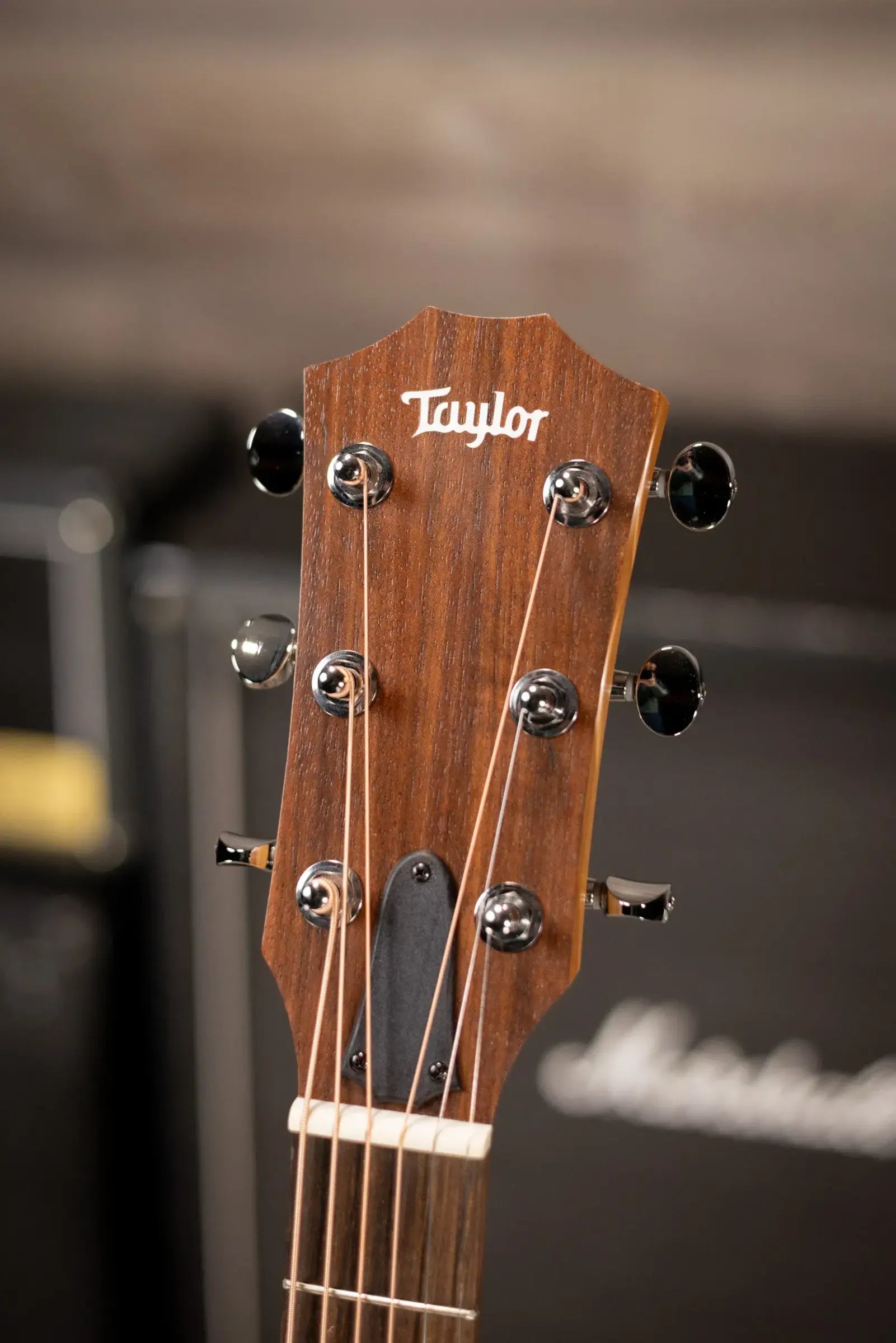 Taylor BBT Big Baby Dreadnought Acoustic Guitar with Gig Bag