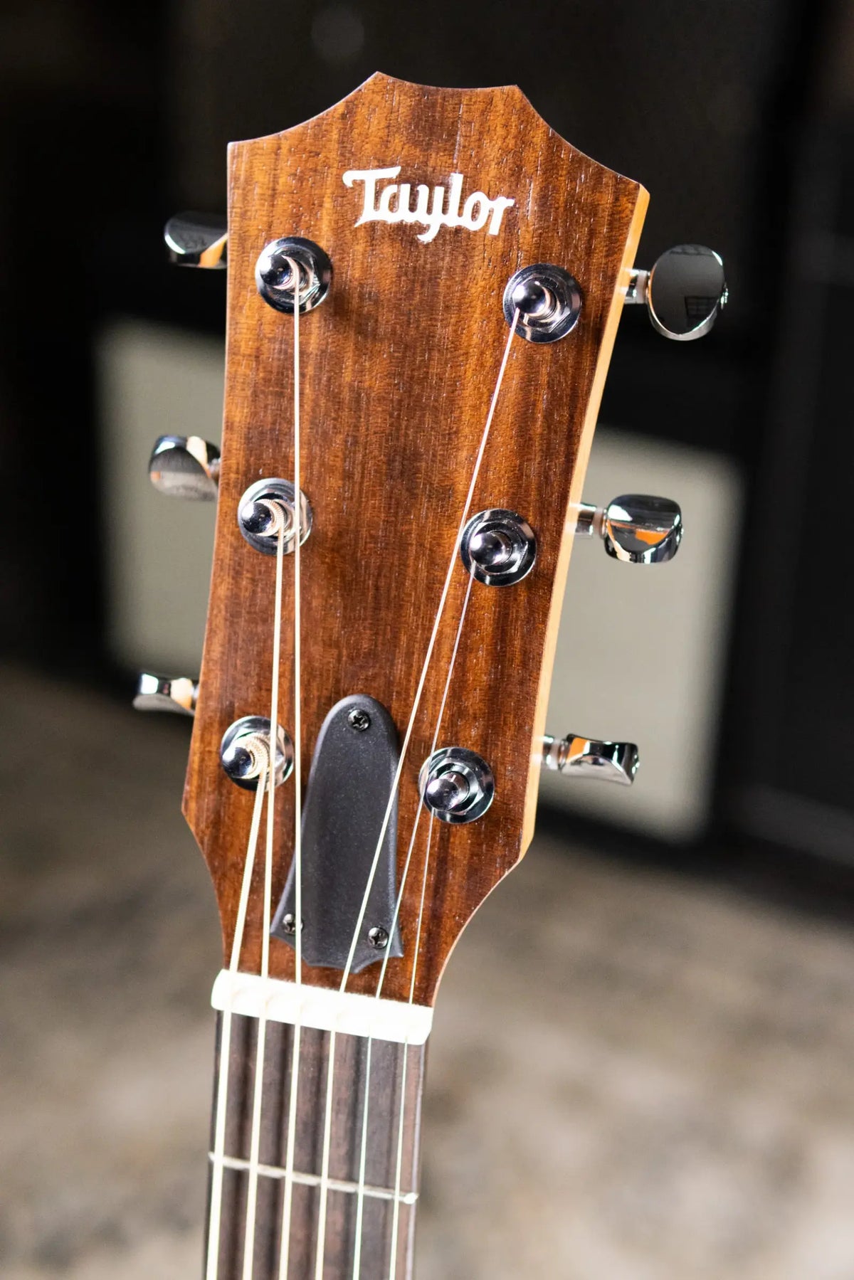 Taylor BBT Big Baby Taylor Acoustic Guitar with Gig Bag