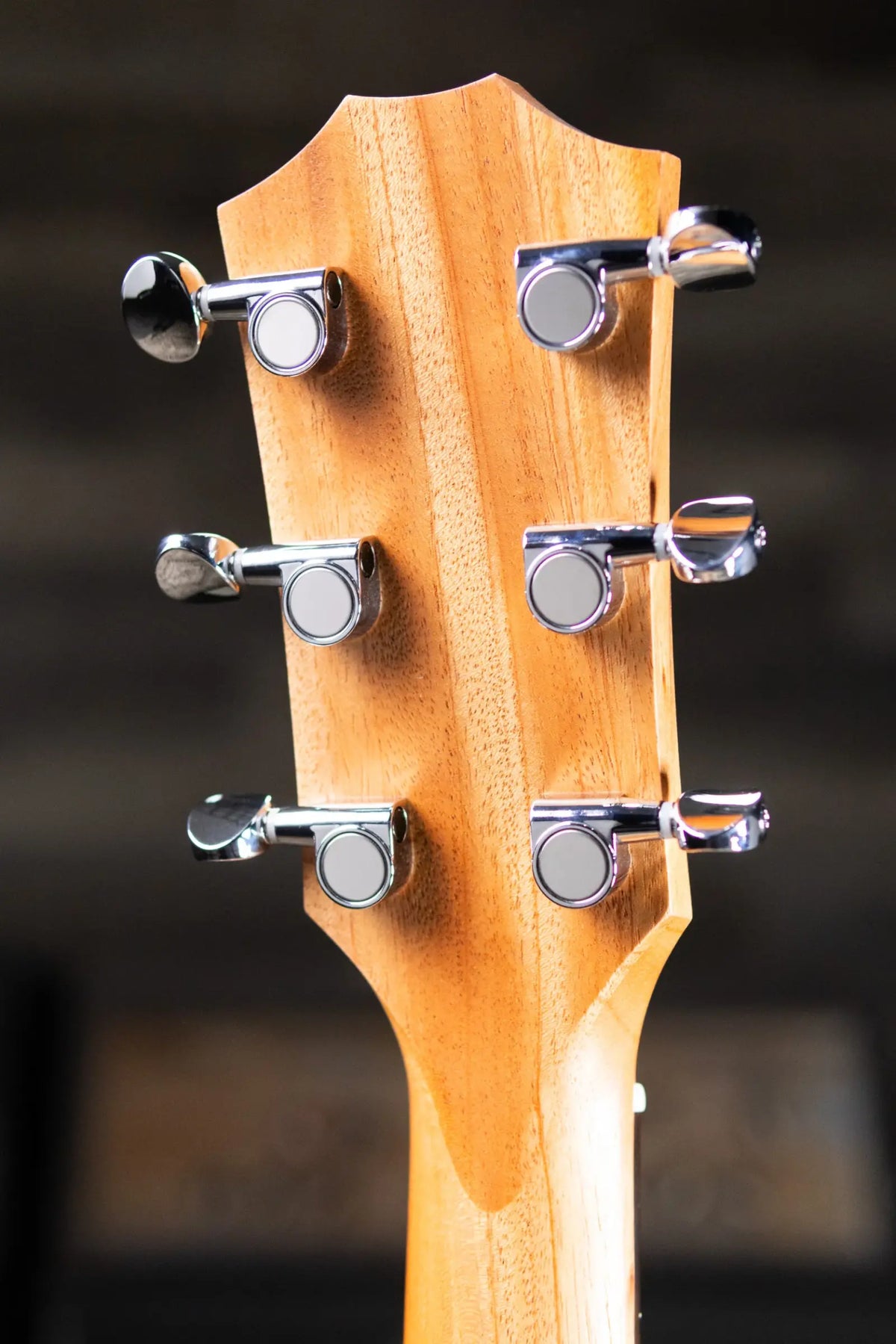 Taylor BBT Big Baby Taylor Acoustic Guitar with Gig Bag
