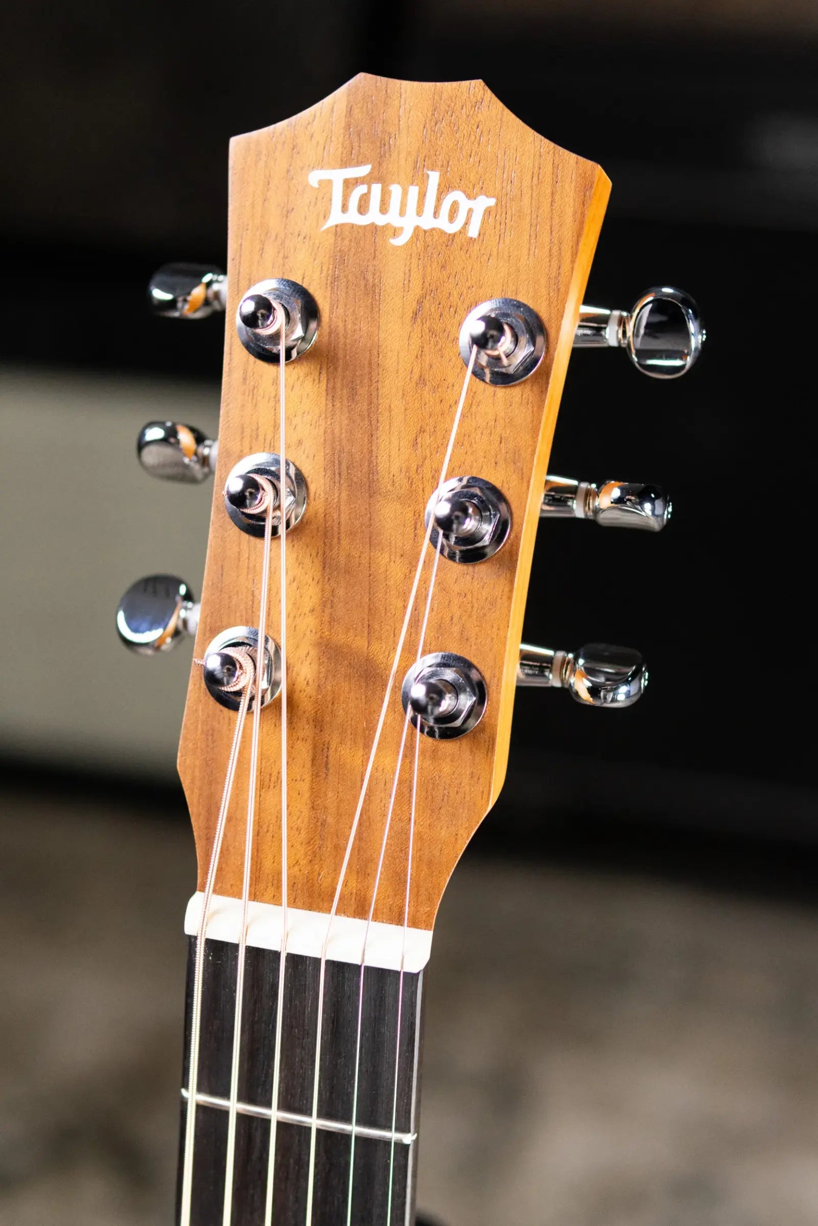 Taylor BT1e Baby Taylor Acoustic/Electric Guitar with Gig Bag