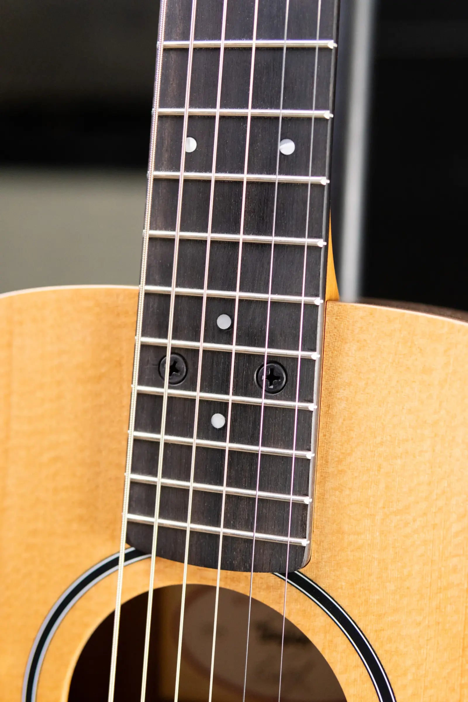 Taylor BT1e Baby Taylor Acoustic/Electric Guitar with Gig Bag