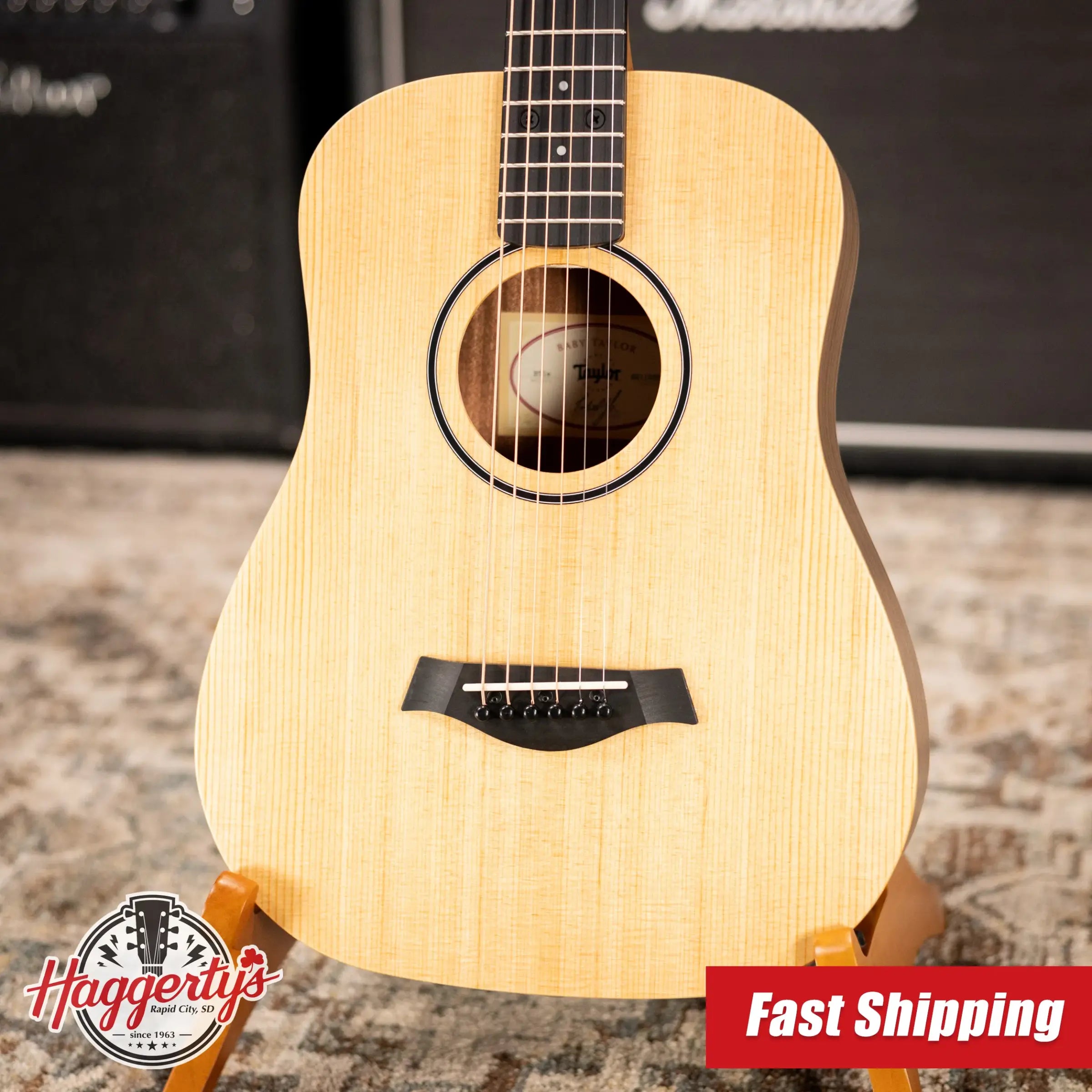 Taylor BT1e Baby Taylor Acoustic/Electric Guitar with Gig Bag