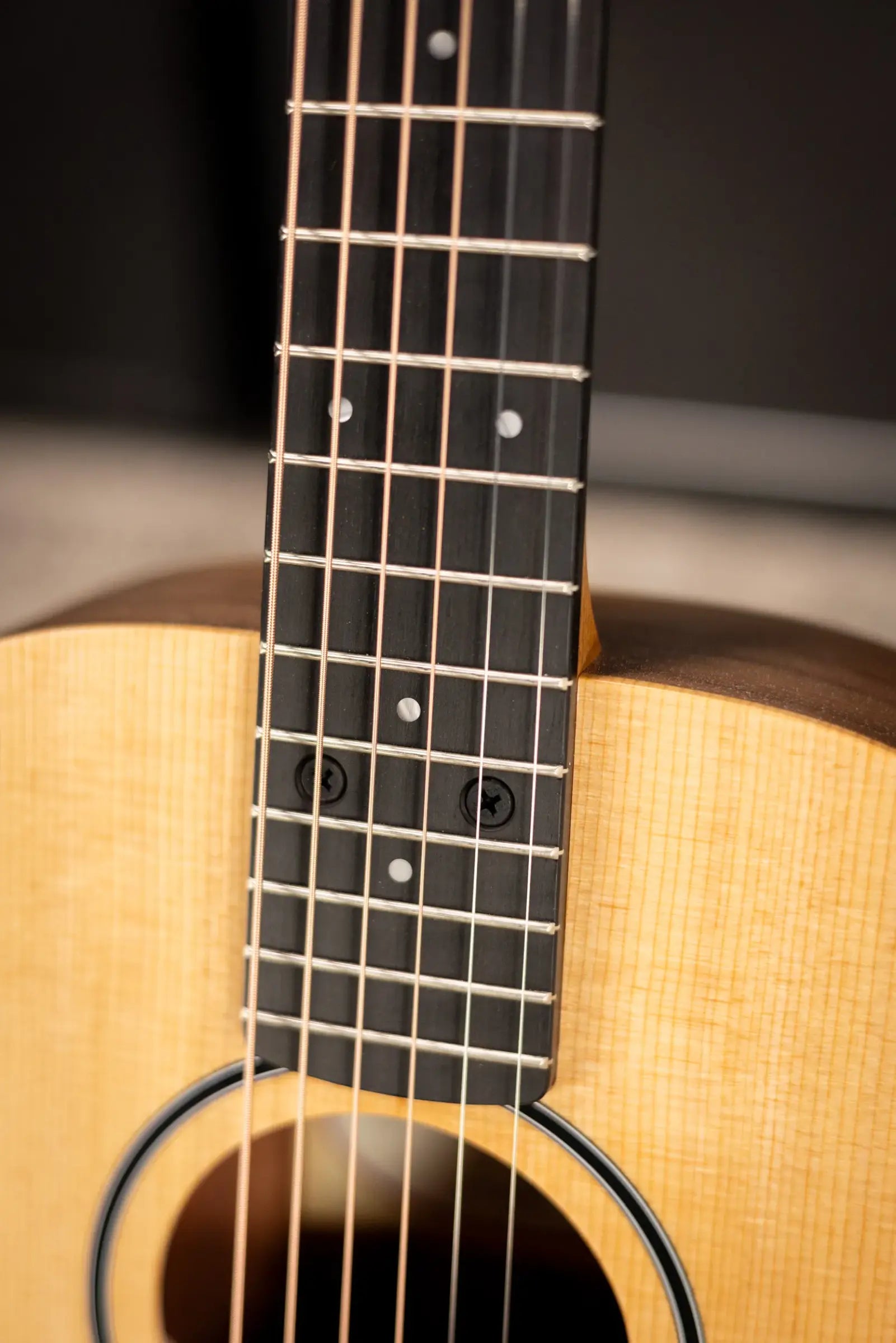 Taylor BT1e Baby Taylor Acoustic/Electric Guitar with Gig Bag