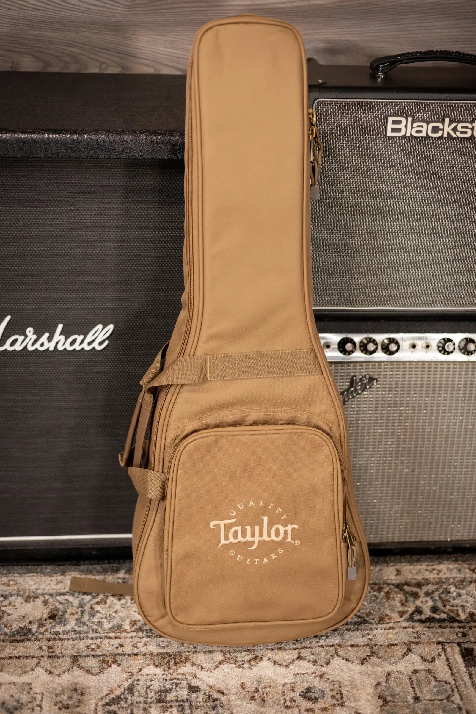 Taylor BT1e Baby Taylor Acoustic/Electric Guitar with Gig Bag