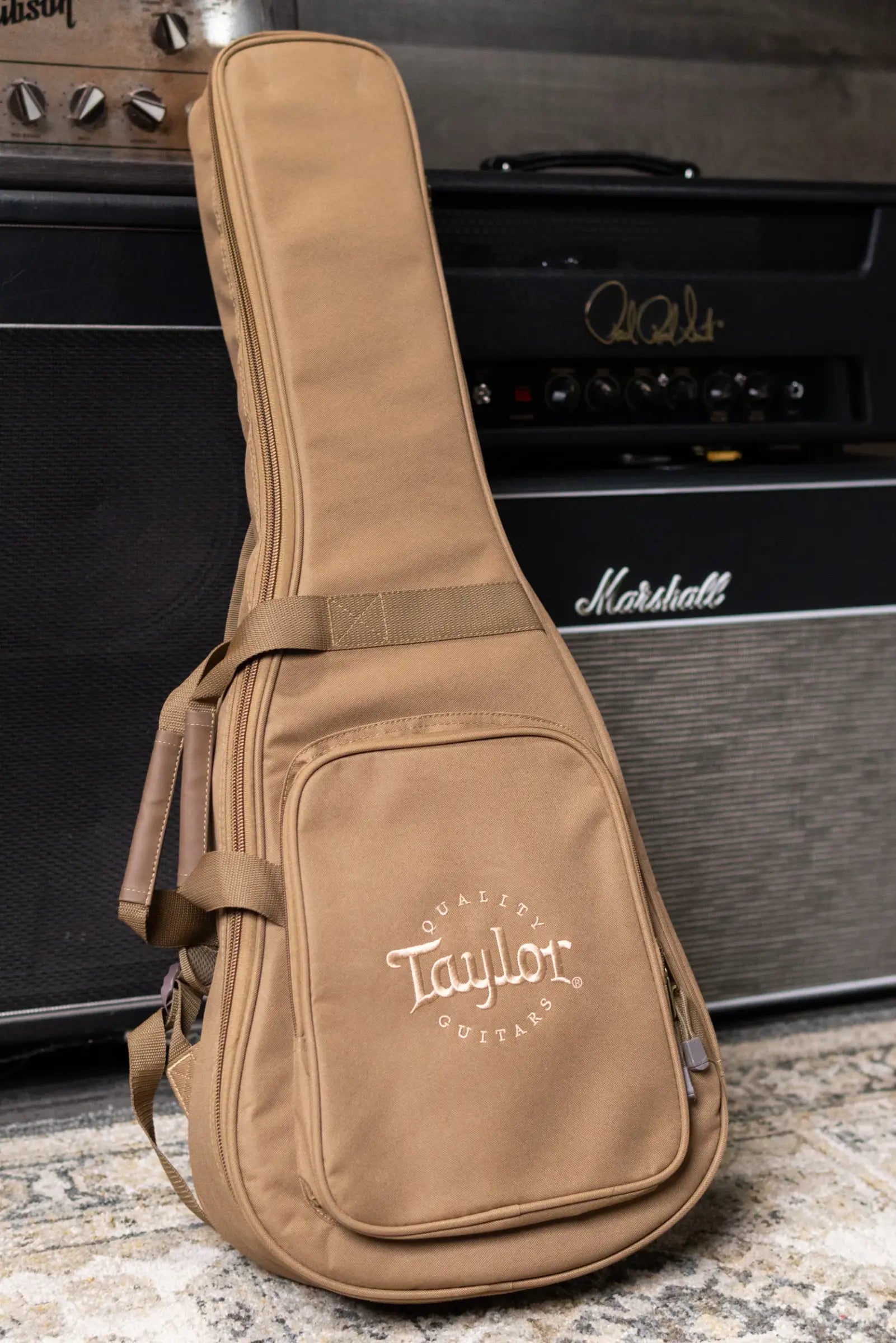 Taylor BT1e Baby Taylor Acoustic/Electric Guitar with Gig Bag
