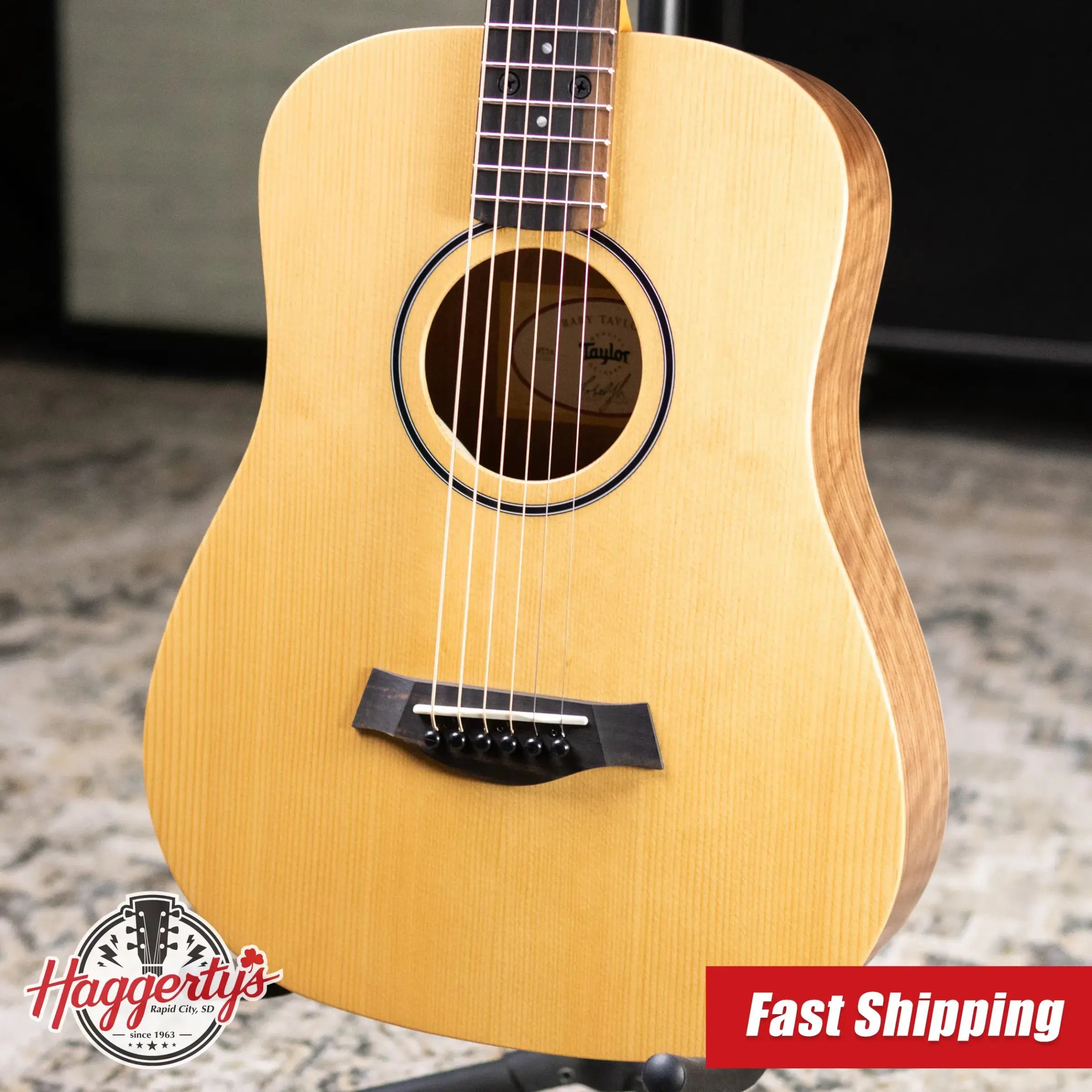 Taylor BT1e Baby Taylor Acoustic/Electric Guitar with Gig Bag