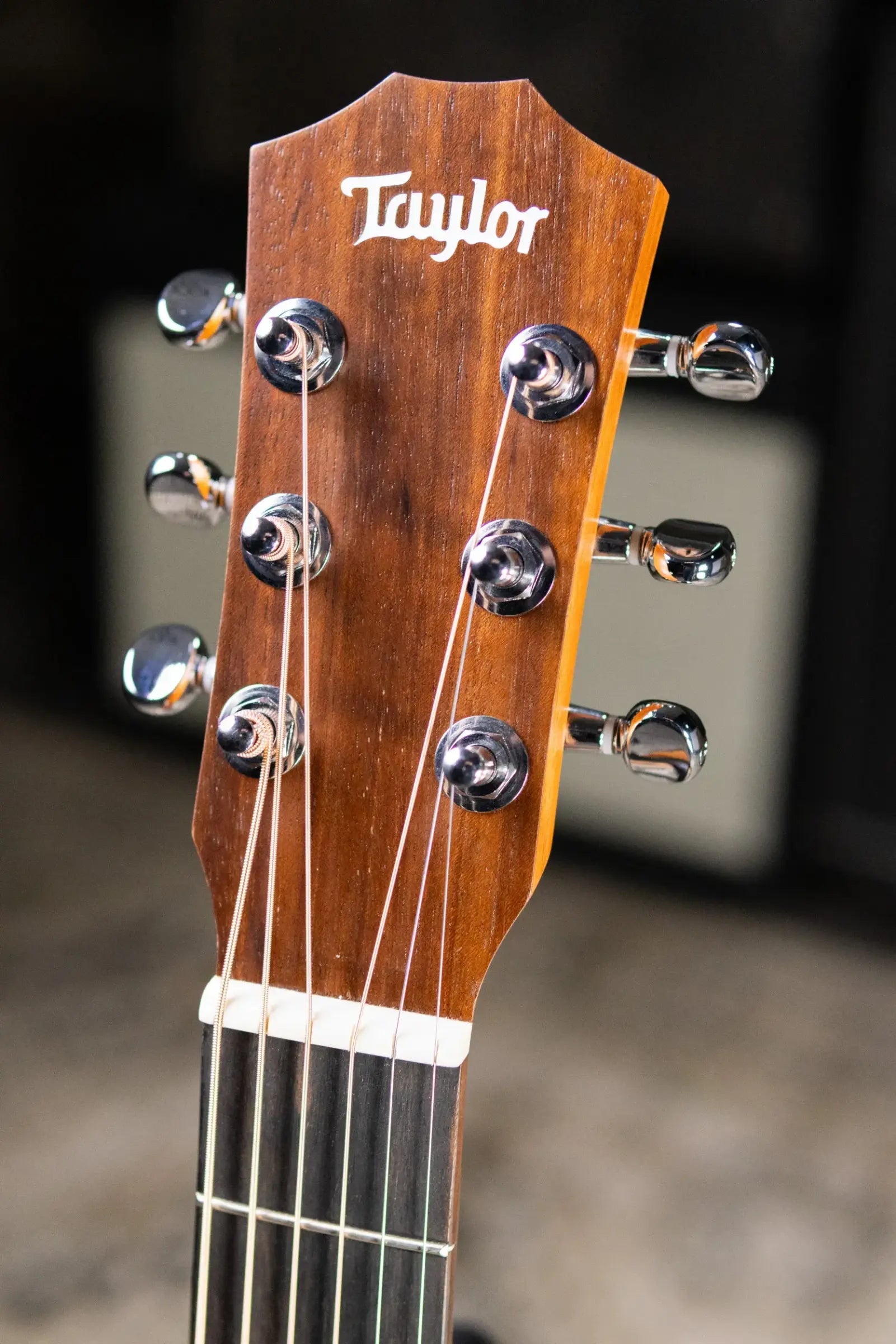 Taylor BT1e Baby Taylor Acoustic/Electric Guitar with Gig Bag