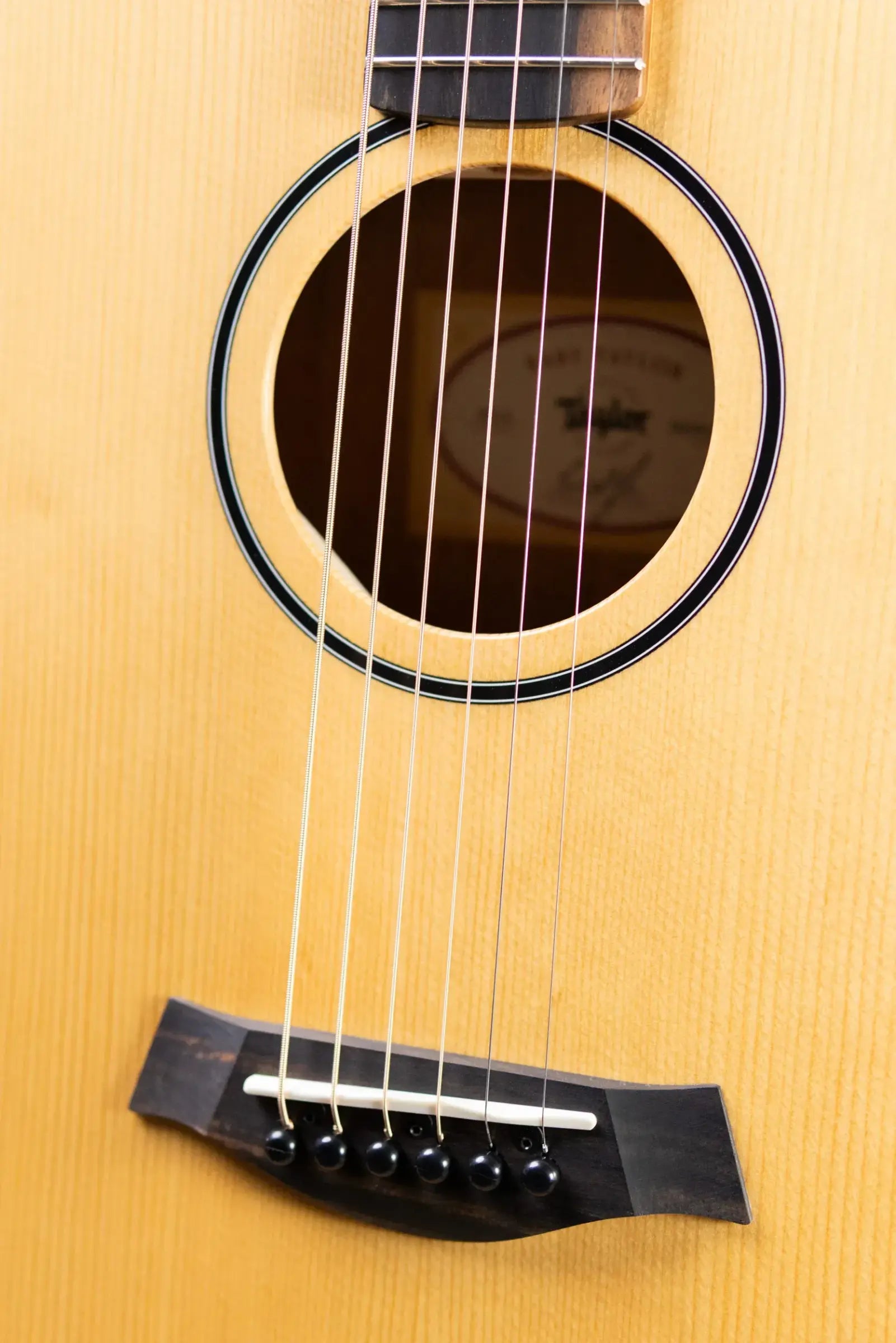 Taylor BT1e Baby Taylor Acoustic/Electric Guitar with Gig Bag