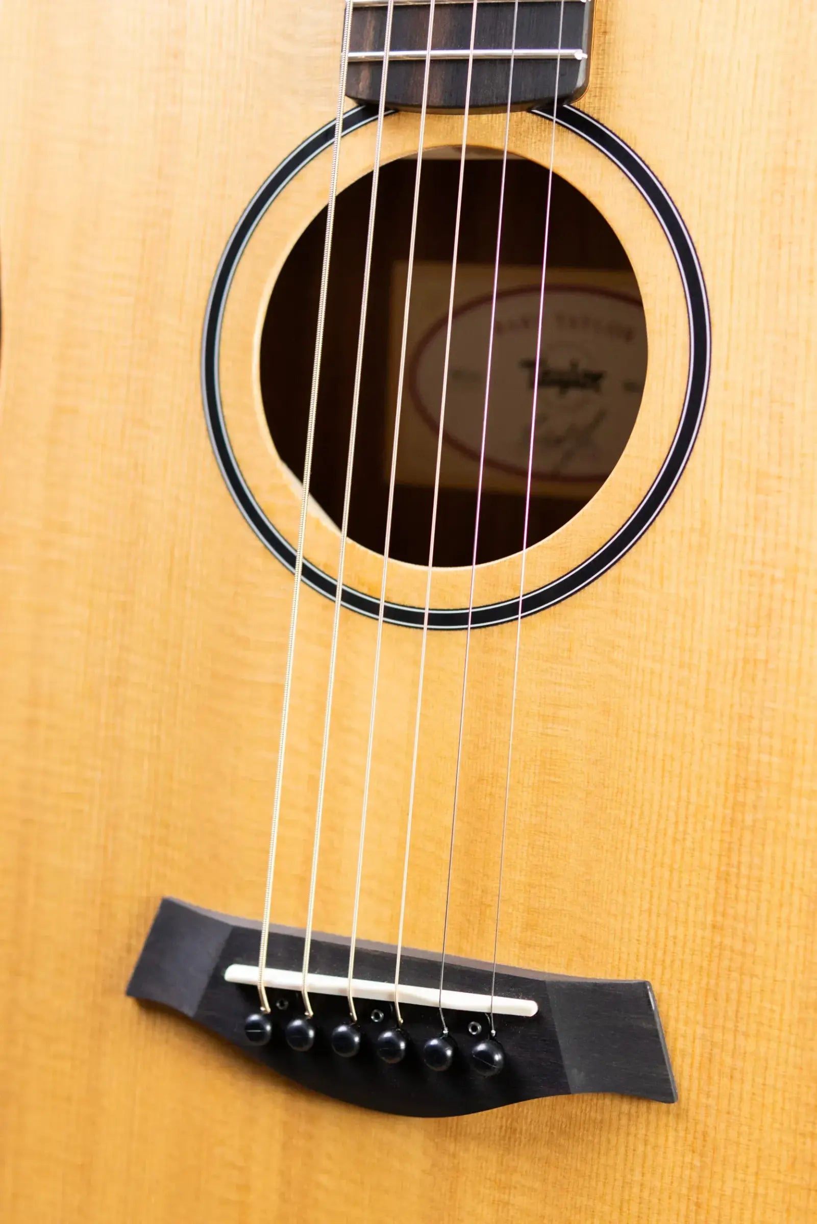 Taylor BT1e Baby Taylor Acoustic/Electric Guitar with Gig Bag