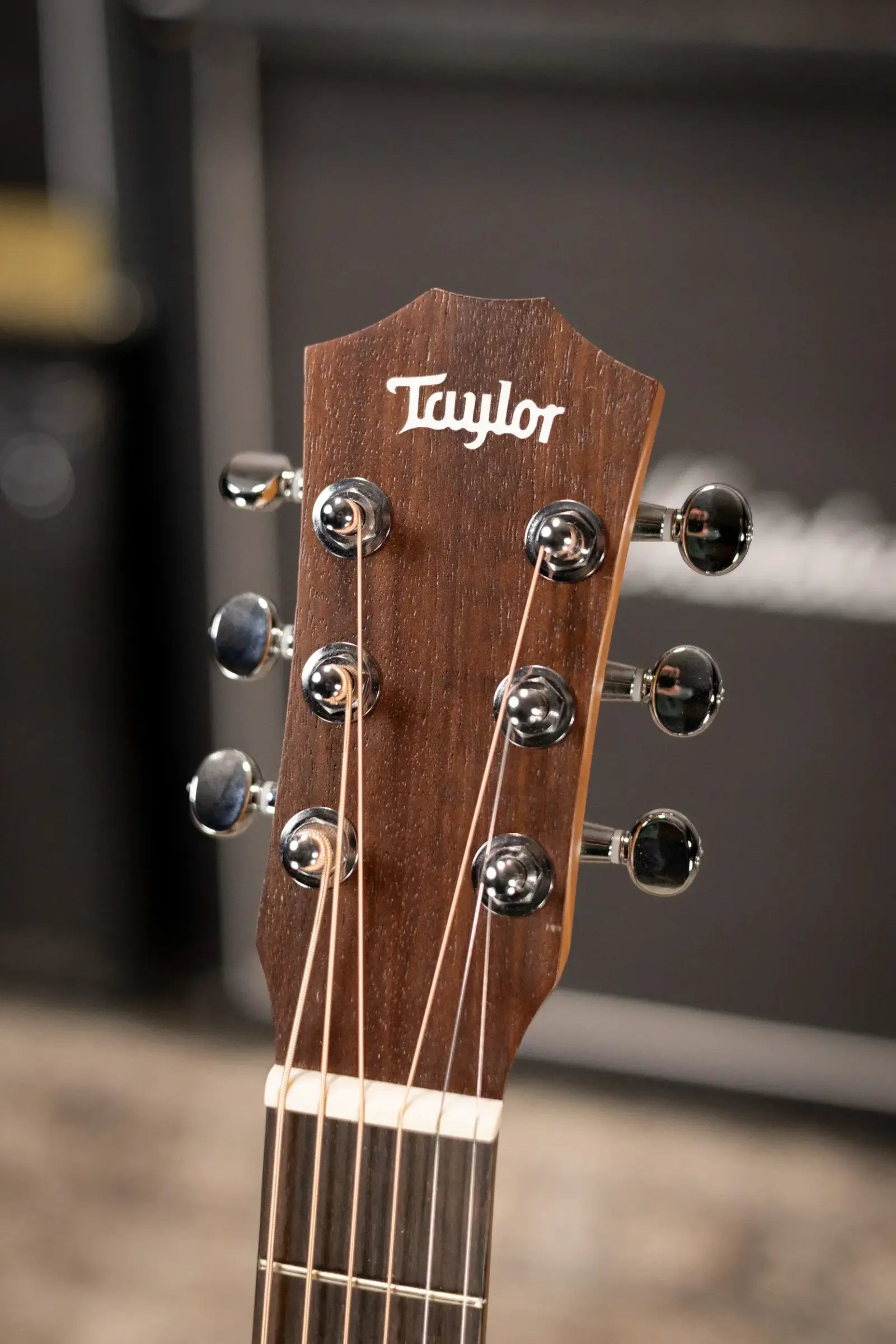 Taylor BT1e Baby Taylor Acoustic-Electric Guitar with Gig Bag