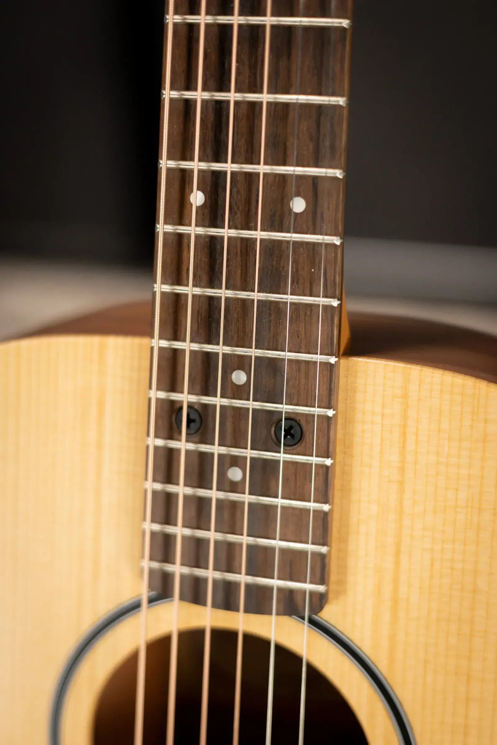 Taylor BT1e Baby Taylor Acoustic-Electric Guitar with Gig Bag