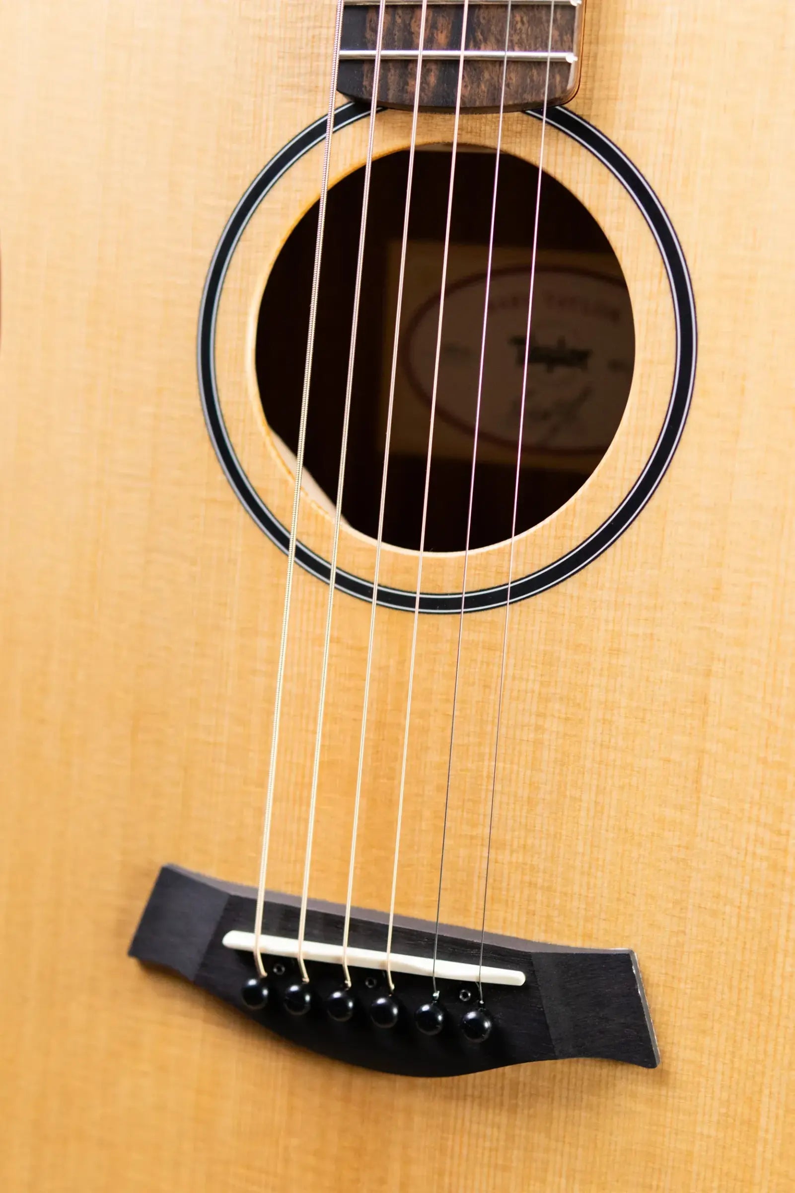 Taylor BT1e Baby Taylor Acoustic/Electric Guitar with Gig Bag