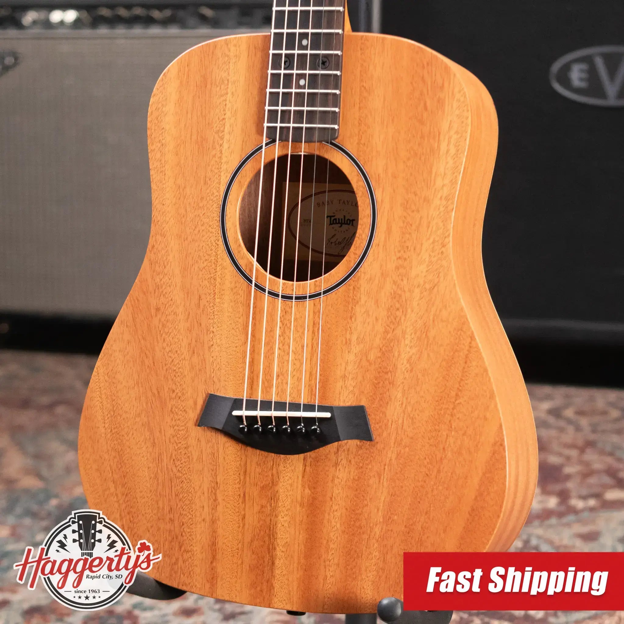 Taylor BT2 Baby Taylor Acoustic Guitar with Gig Bag