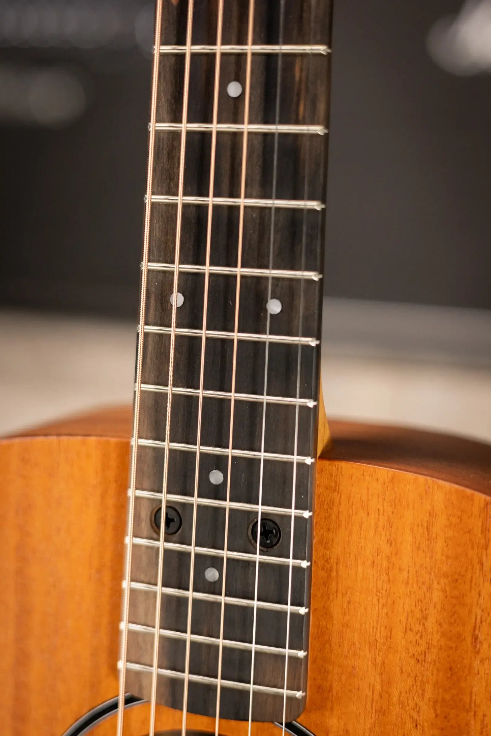 Taylor BT2 Baby Taylor Acoustic Guitar with Gig Bag