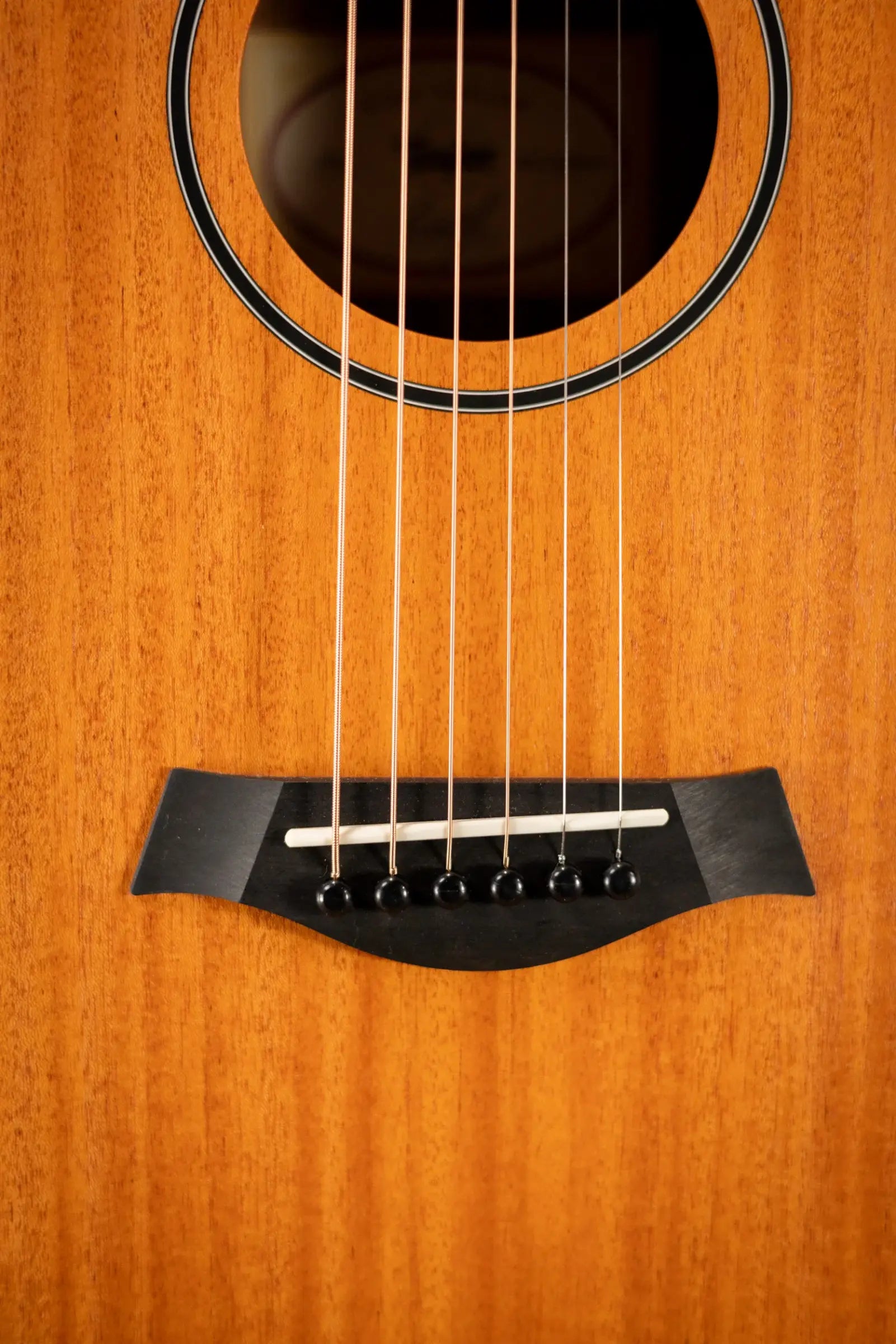 Taylor BT2 Baby Taylor Acoustic Guitar with Gig Bag