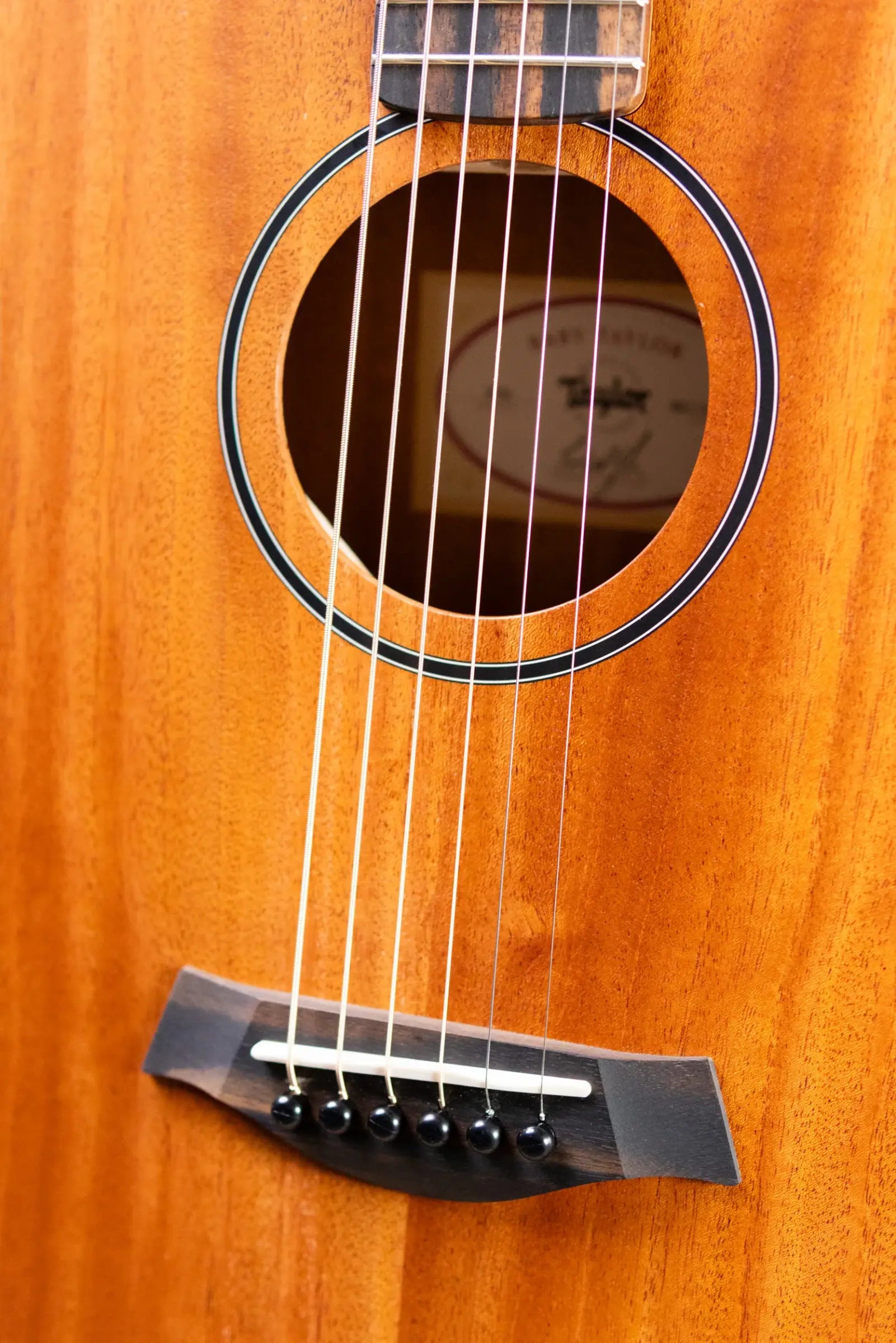 Taylor BT2 Baby Taylor Acoustic Guitar with Gig Bag