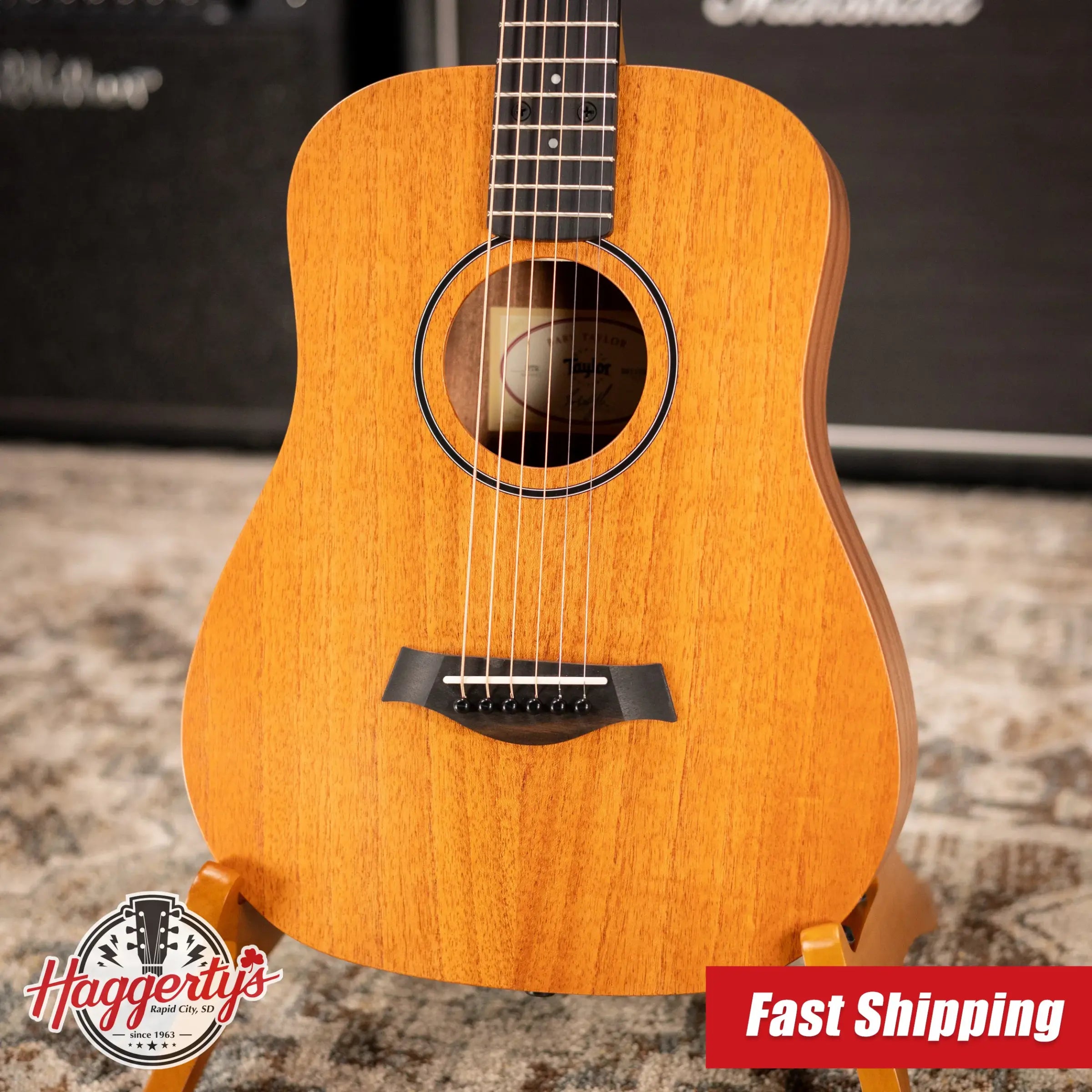 Taylor BT2 Baby Taylor Acoustic Guitar with Gig Bag