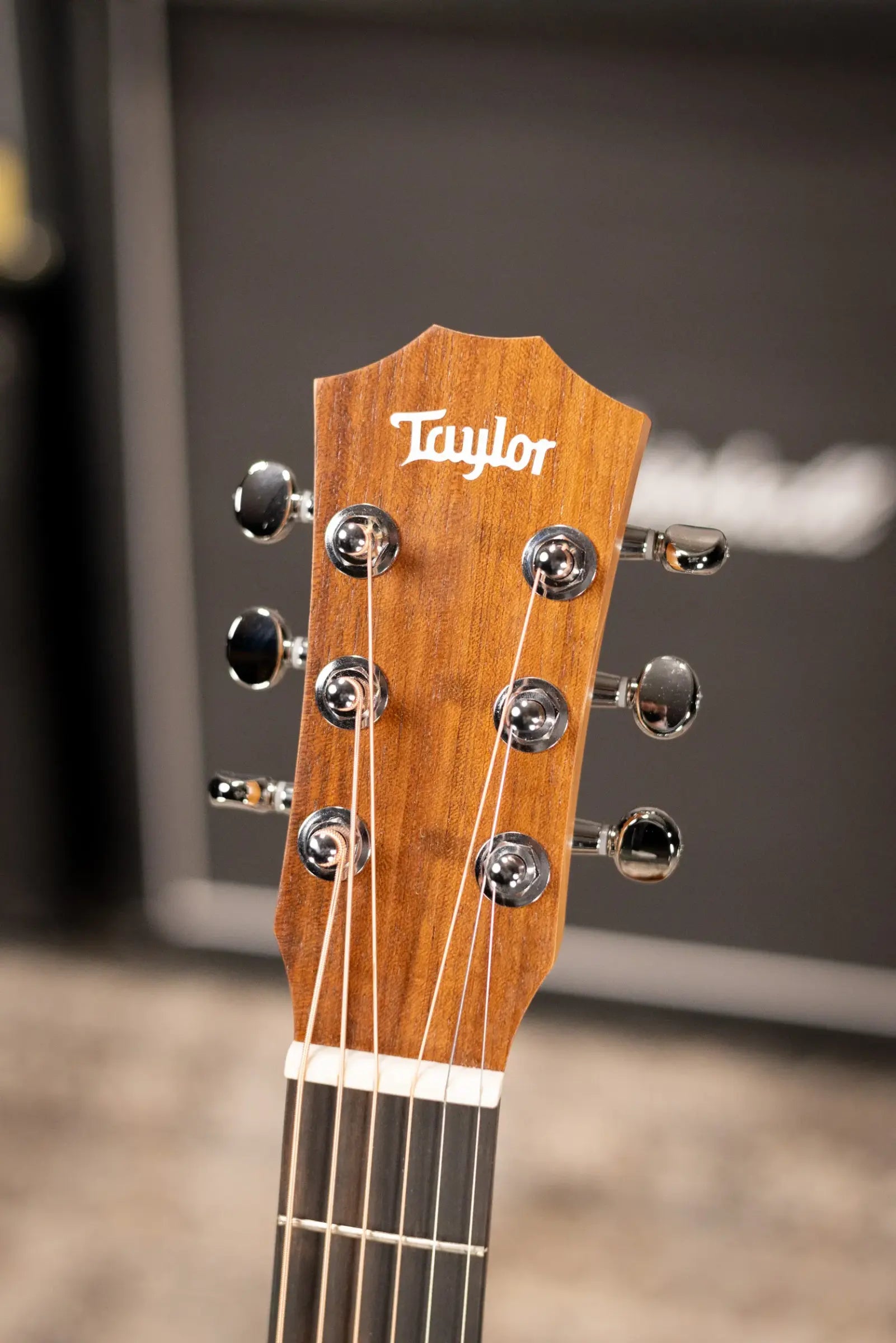 Taylor BT2 Baby Taylor Acoustic Guitar with Gig Bag