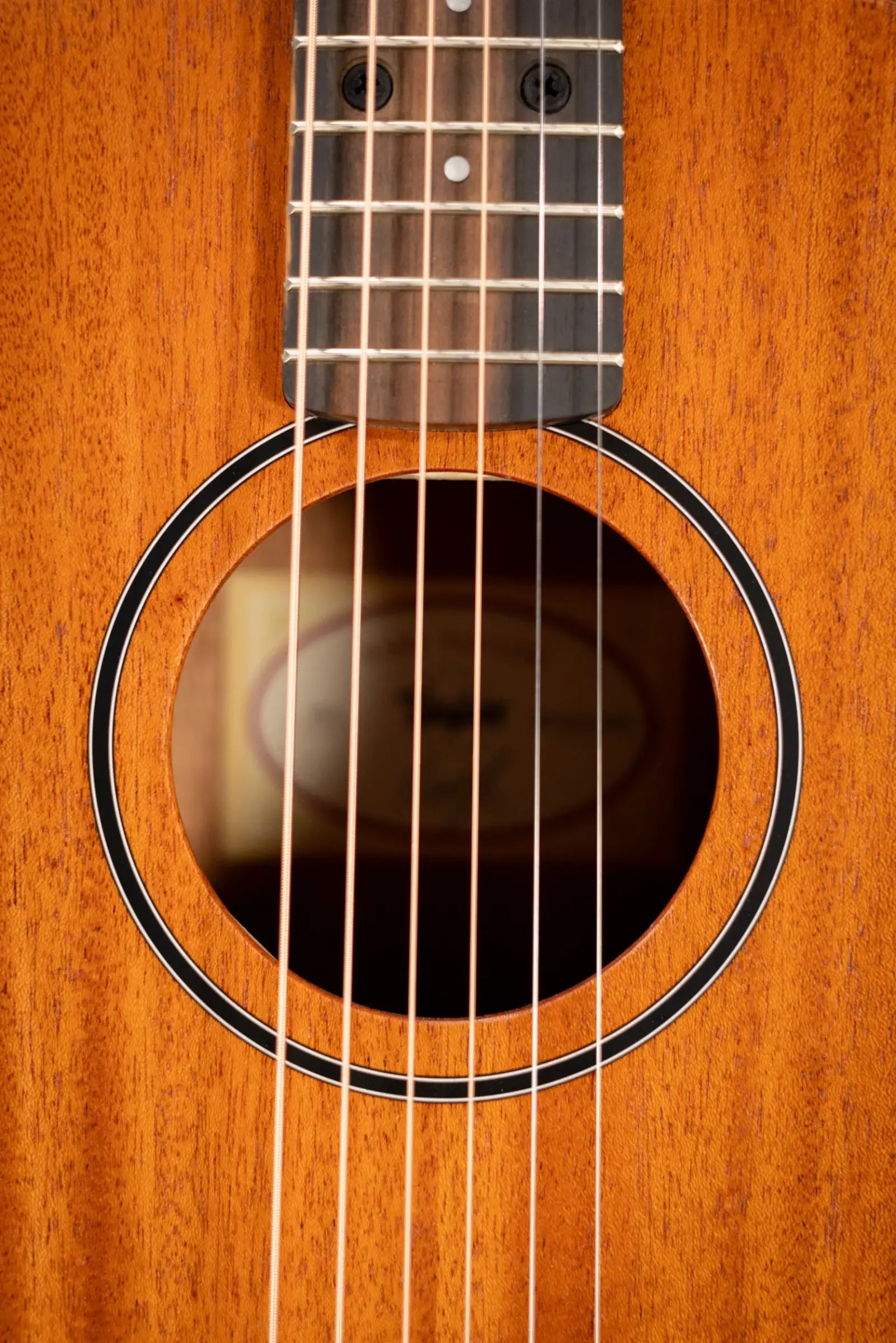 Taylor BT2 Baby Taylor Acoustic Guitar with Gig Bag