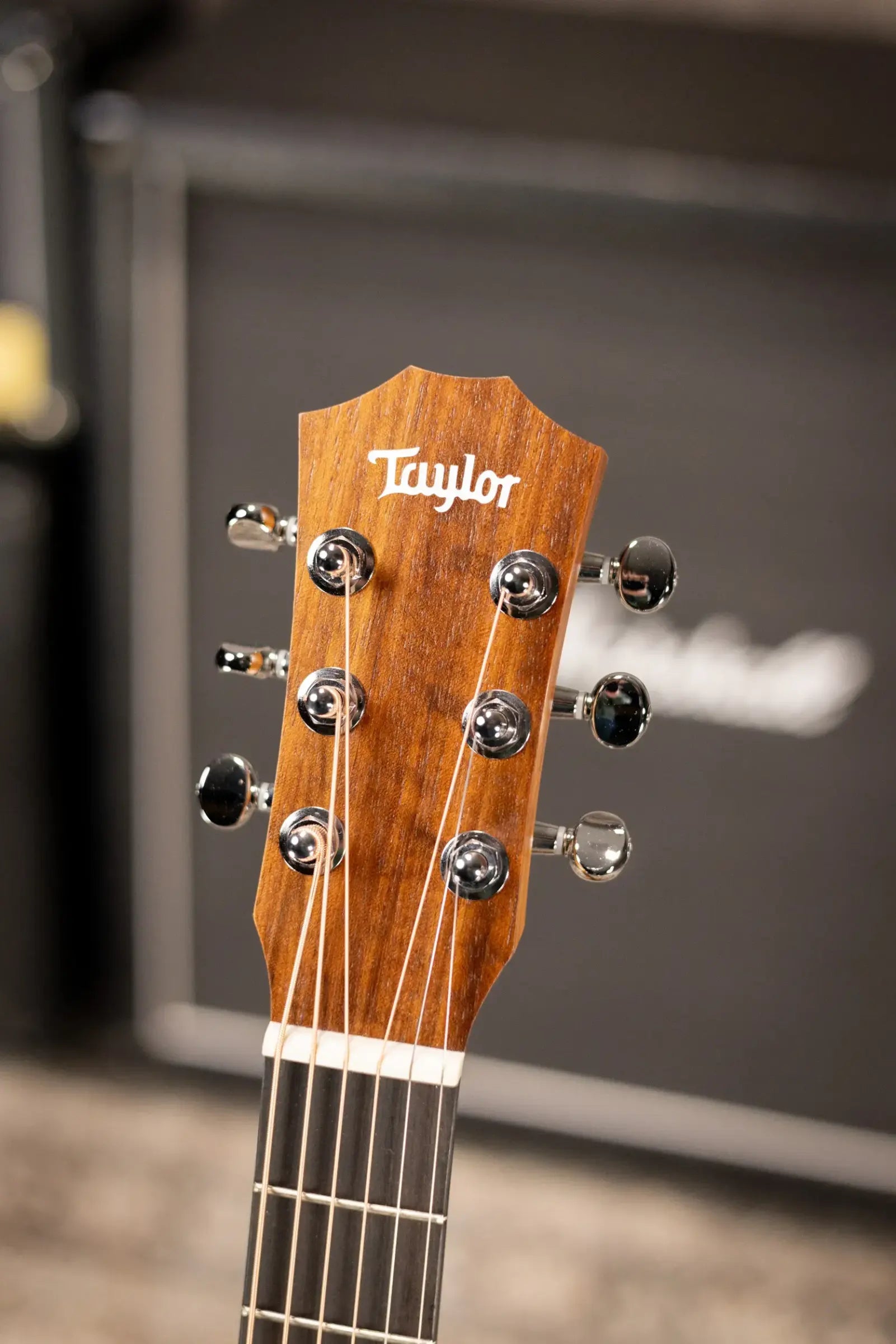 Taylor BT2 Baby Taylor Acoustic Guitar with Gig Bag