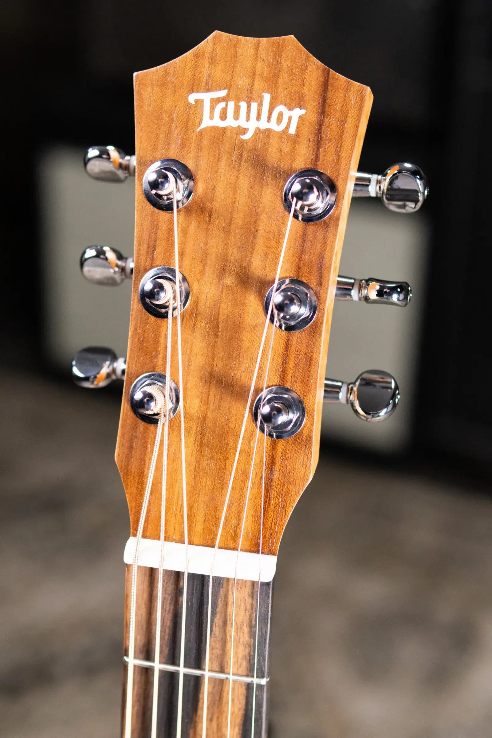 Taylor BT2 Baby Taylor Acoustic Guitar with Gig Bag