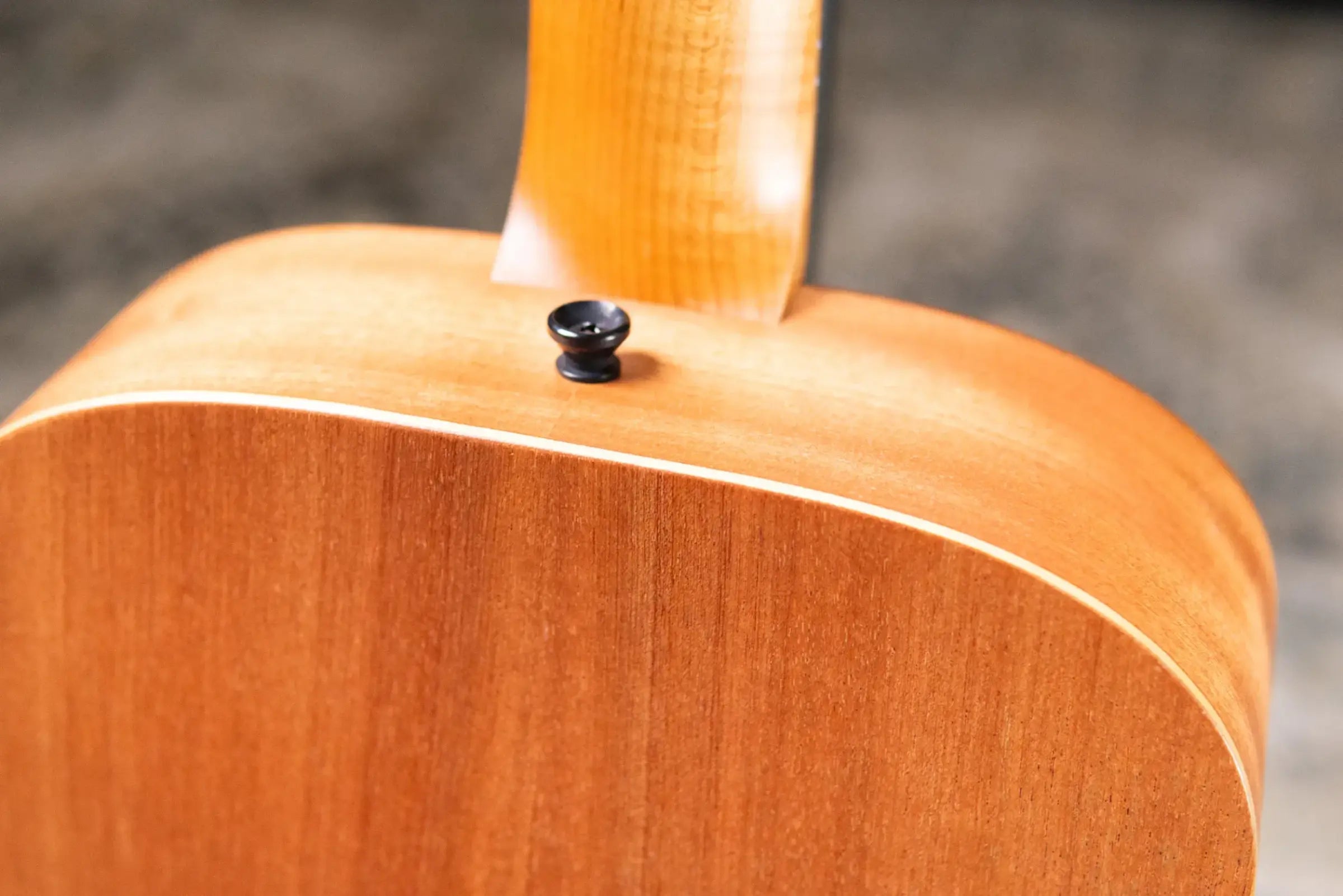 Taylor BT2 Baby Taylor Acoustic Guitar with Gig Bag