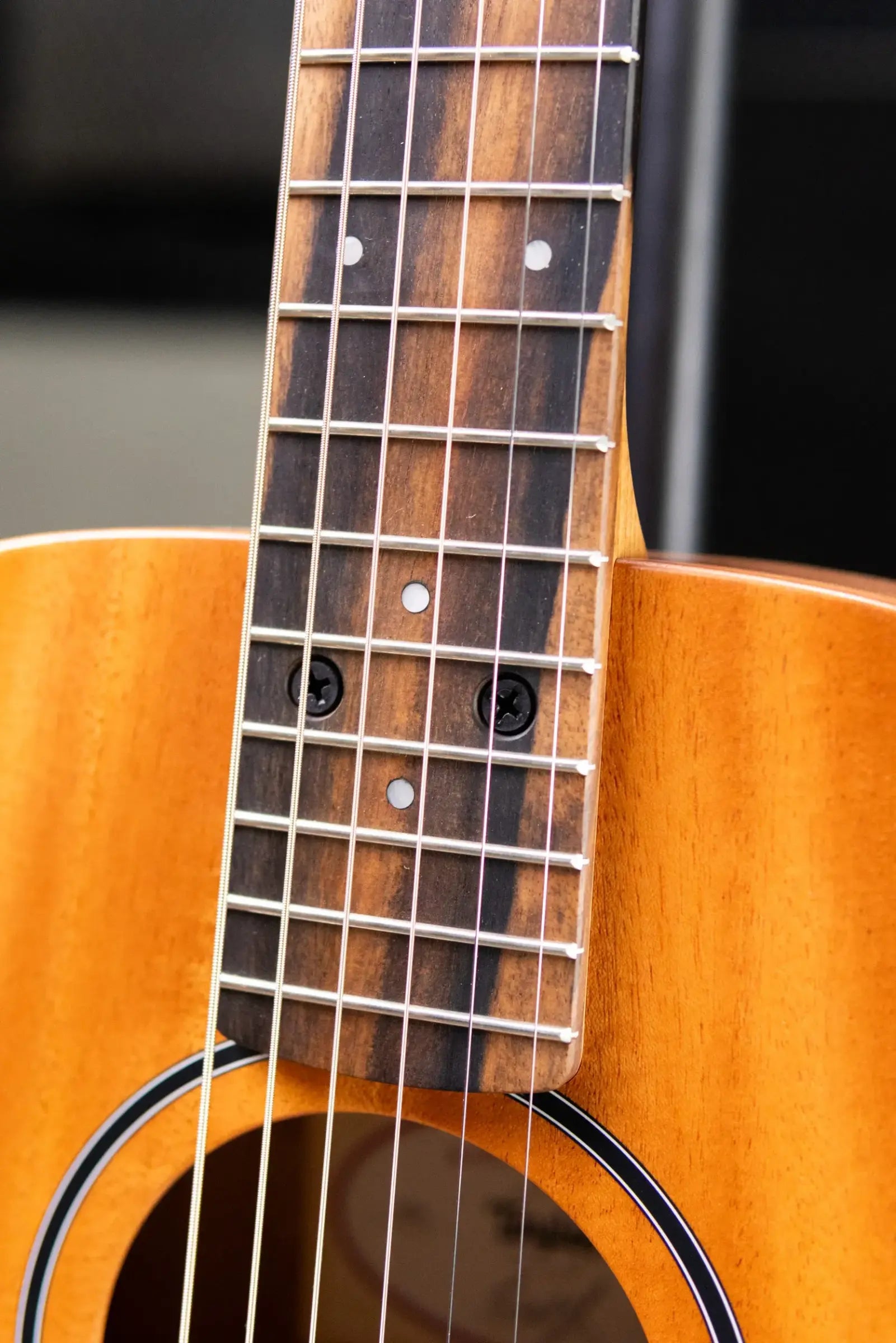 Taylor BT2 Baby Taylor Acoustic Guitar with Gig Bag