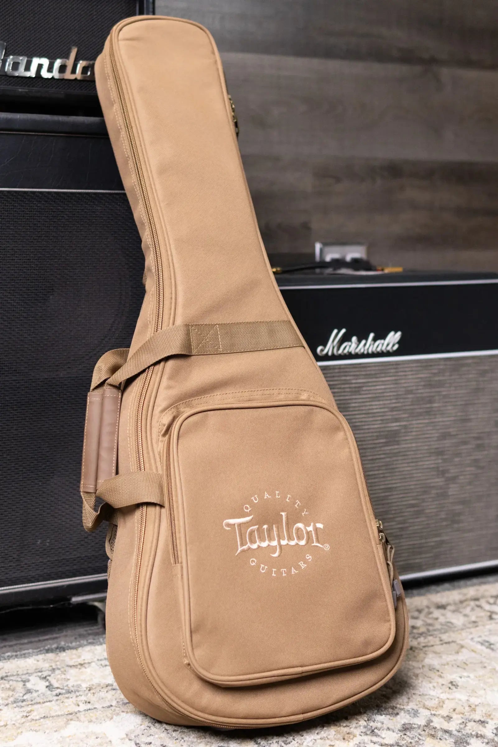 Taylor BT2 Baby Taylor Acoustic Guitar with Gig Bag